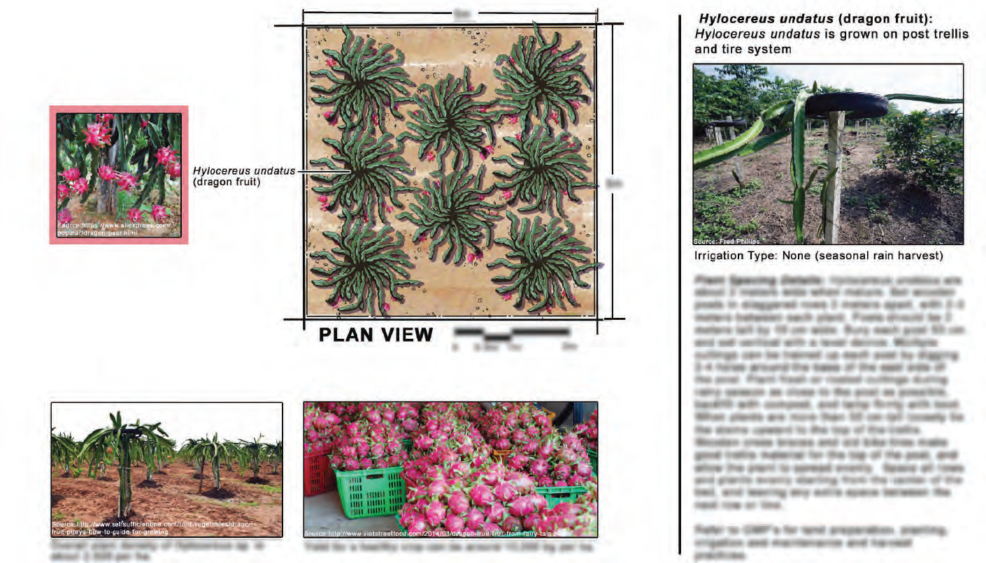 fig_image_2_13727.png