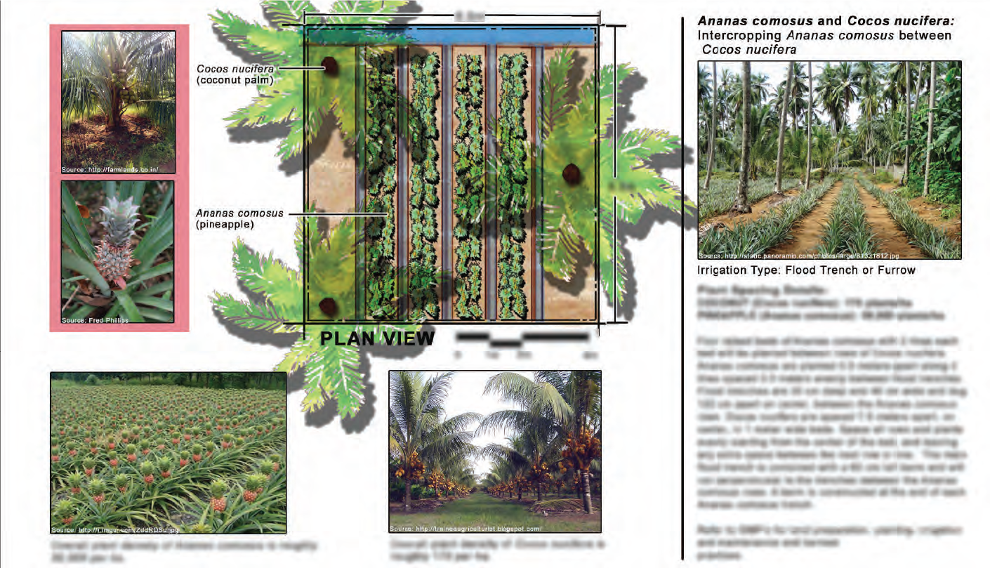 fig_image_1_27307.png