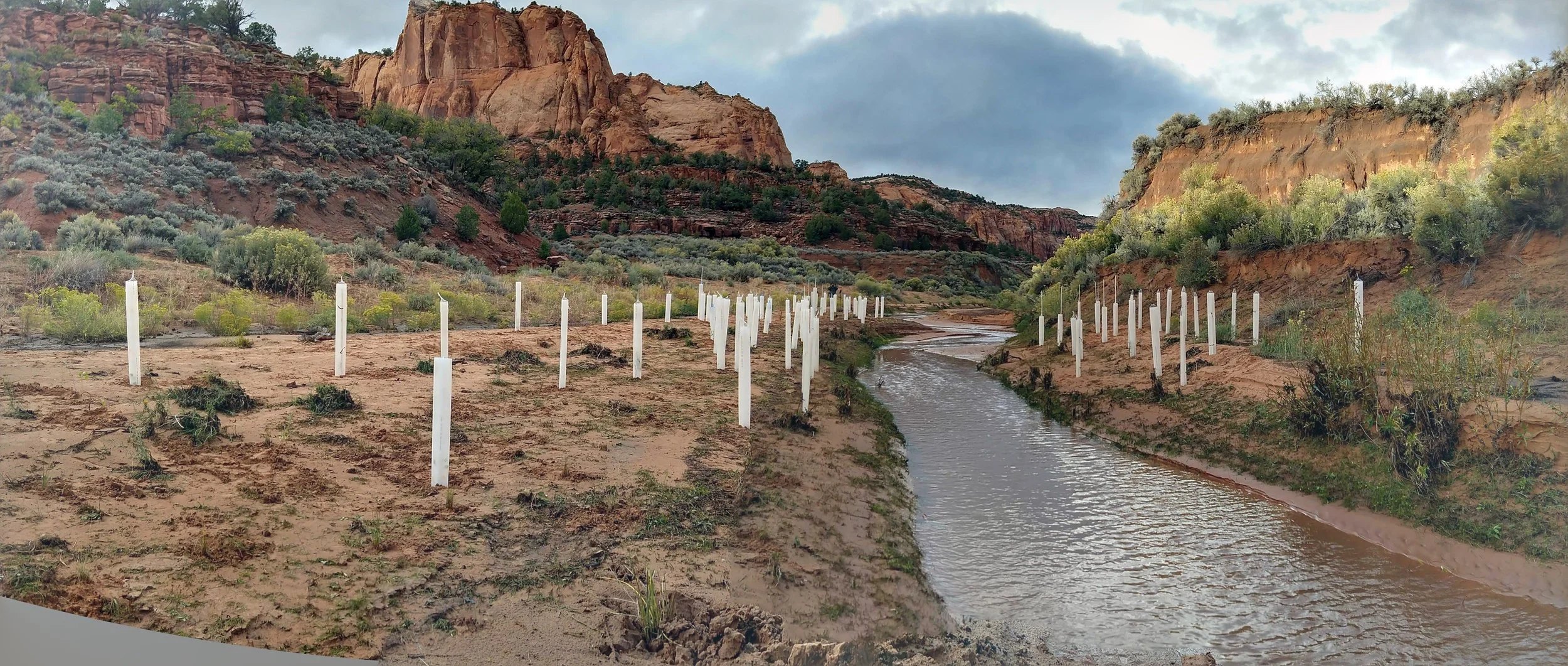 Tsegi Canyon Grazing Management Plan