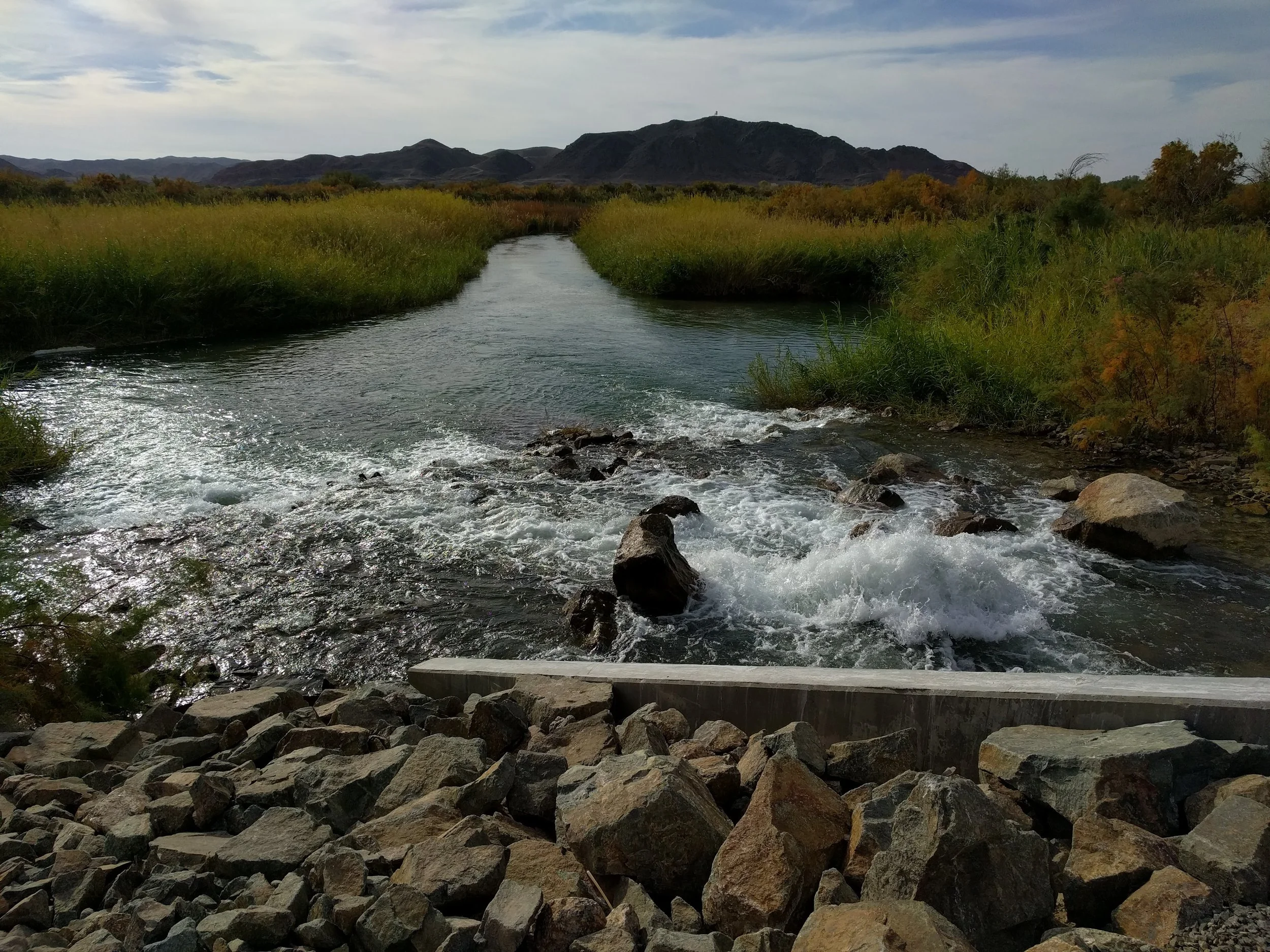 Yuma West Wetlands Park &amp; Restoration