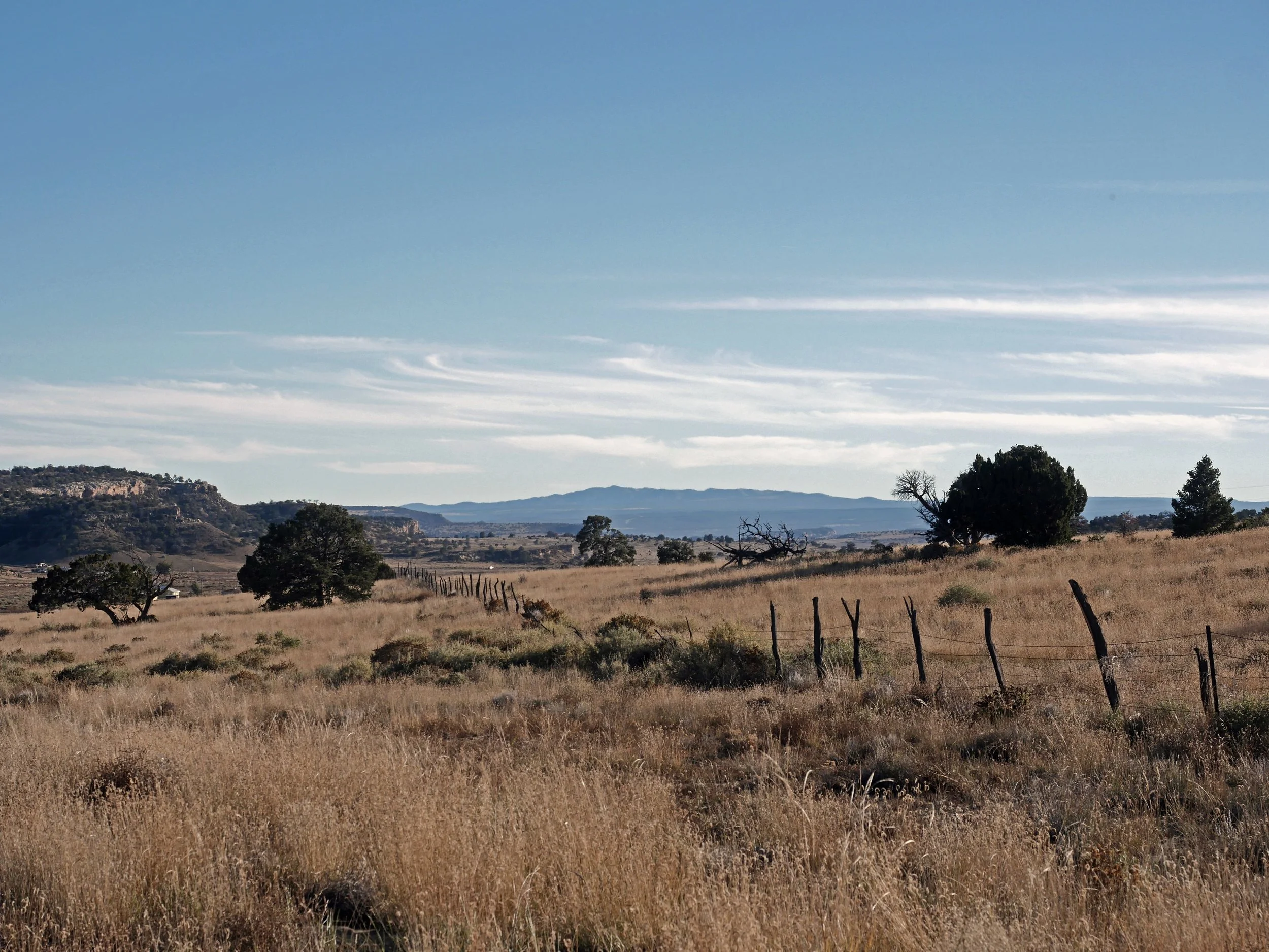 hozho center fenceline.JPG