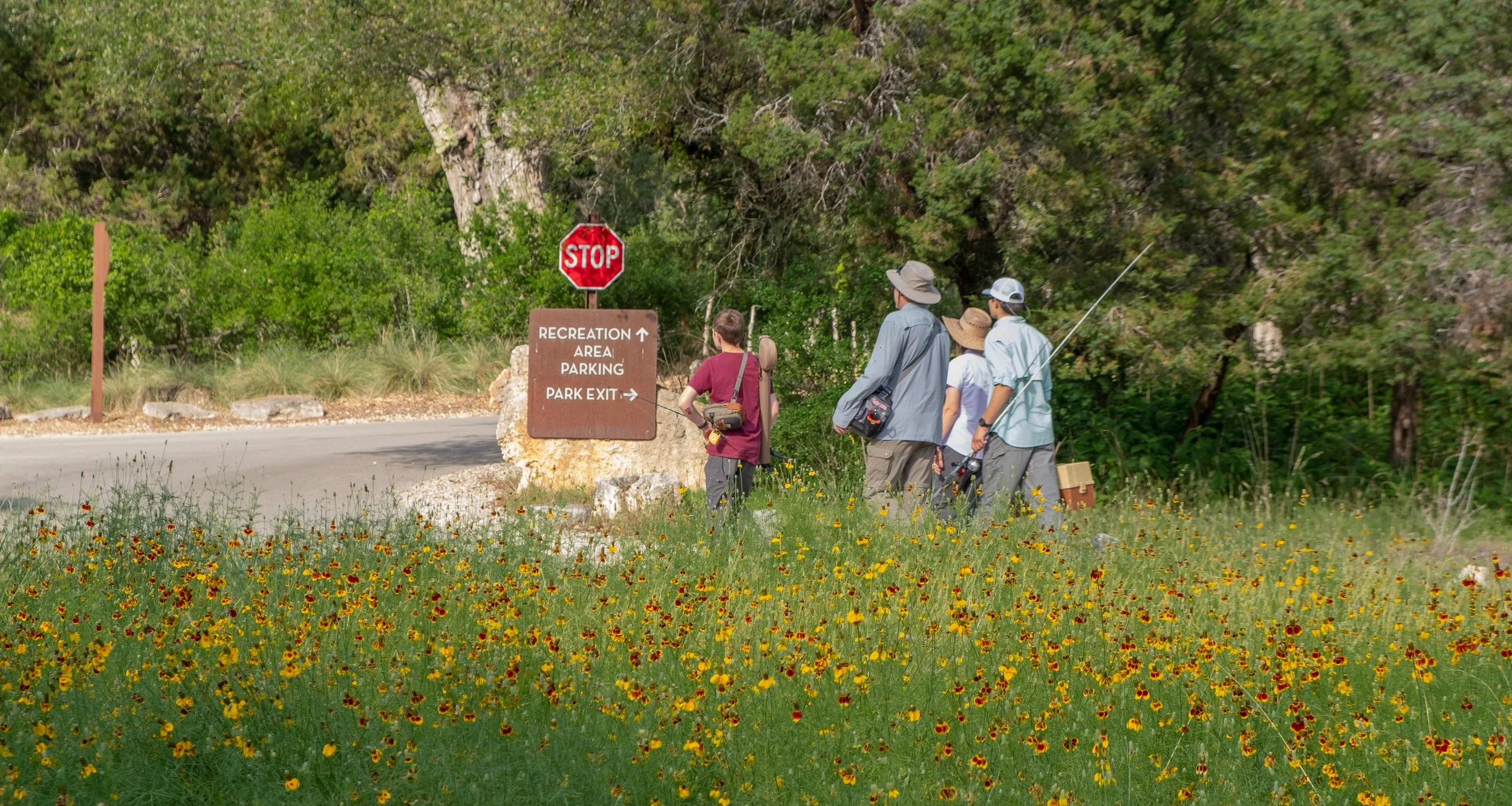 DSCF2115-2.jpg