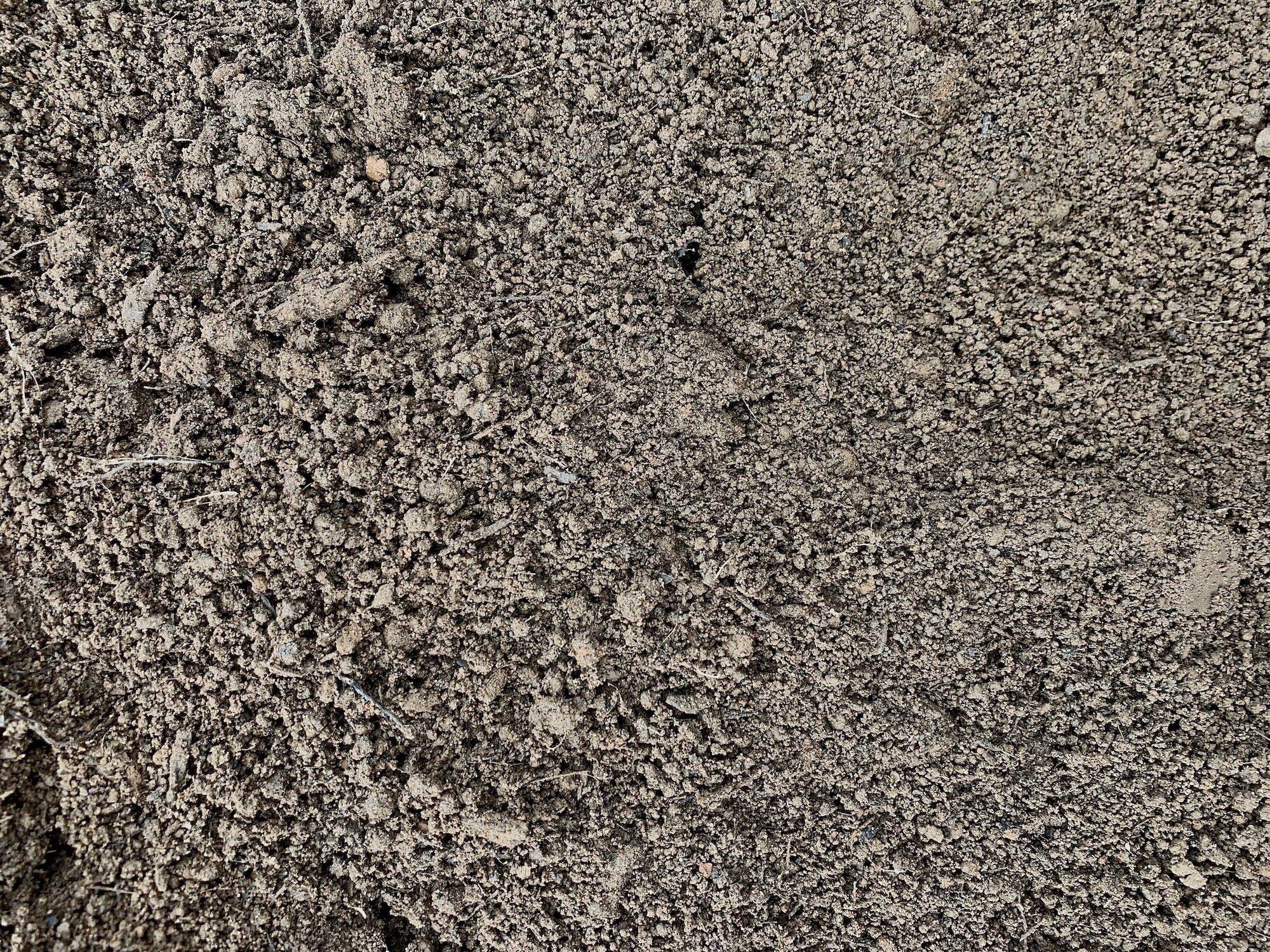 Top Soil.jpeg