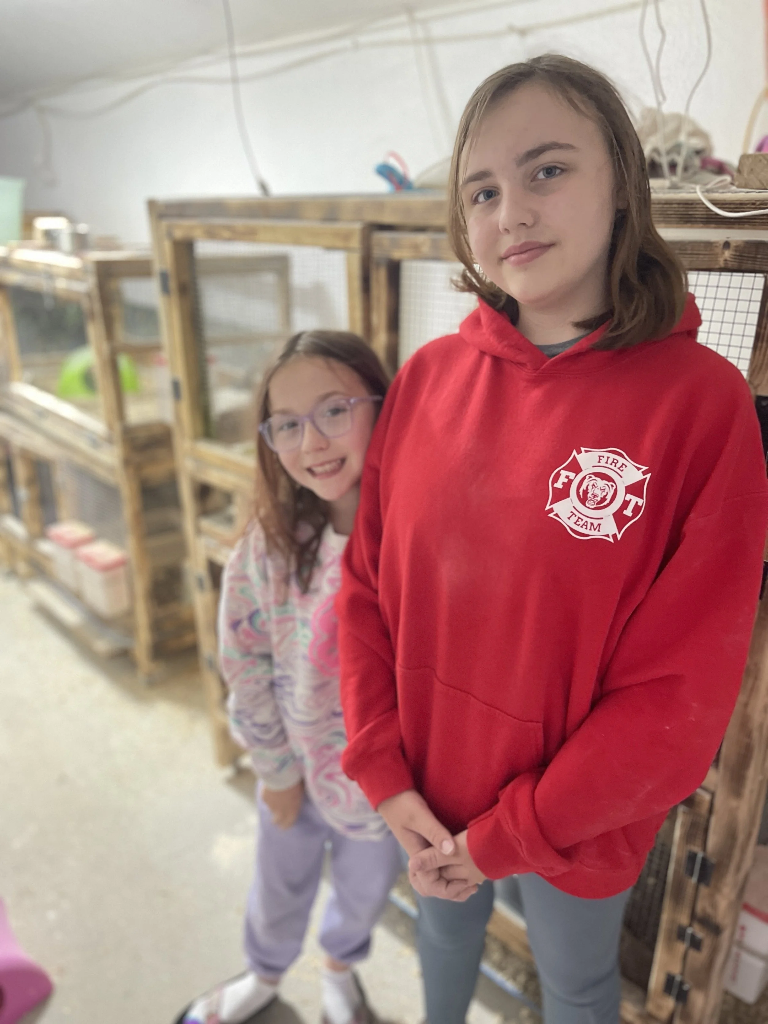 Youth Raise Quail and Eggs_2.jpeg