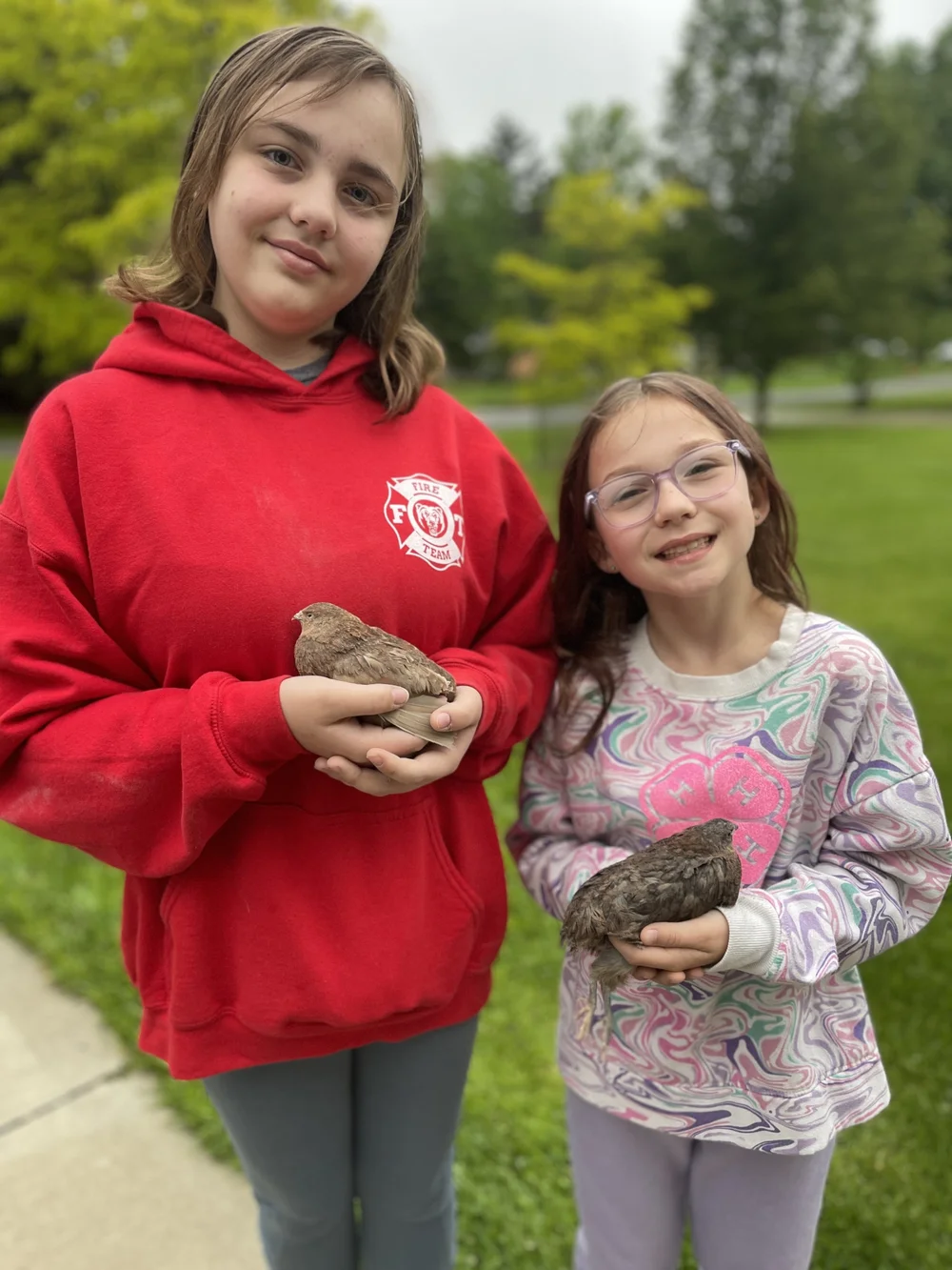 Youth Raise Quail and Eggs_1.jpeg