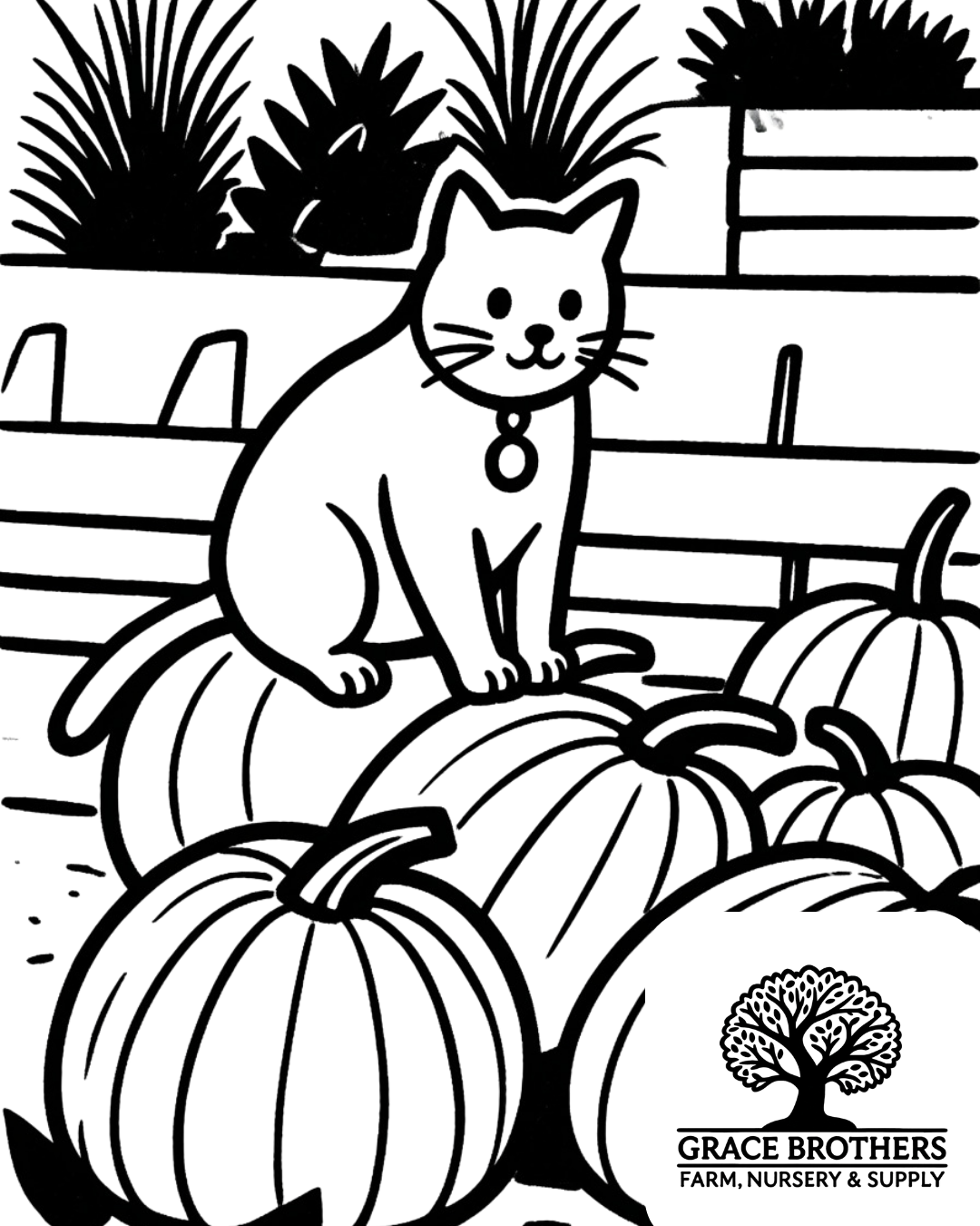 Grace Brothers Harvest Festival_00001.png
