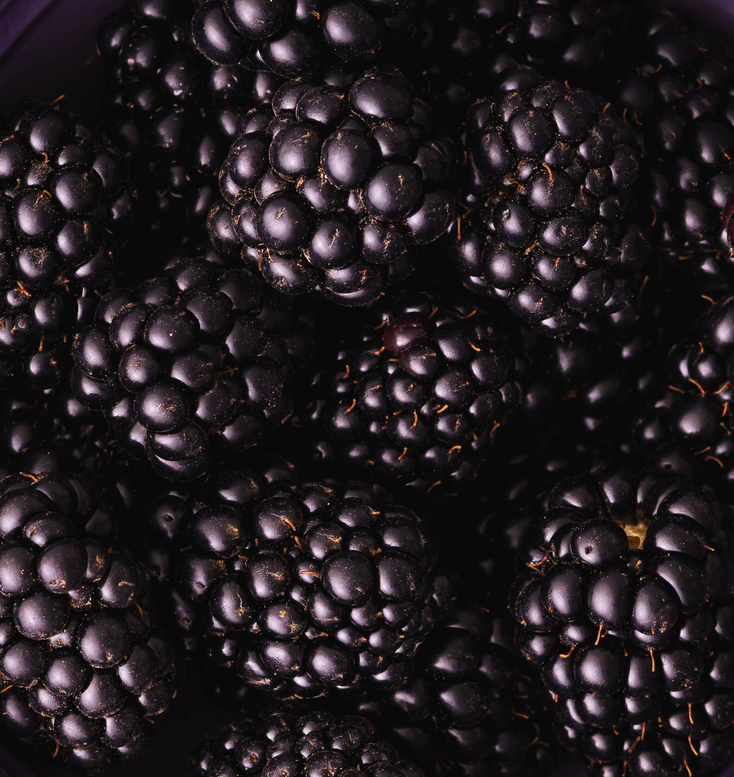 blackberries.jpg