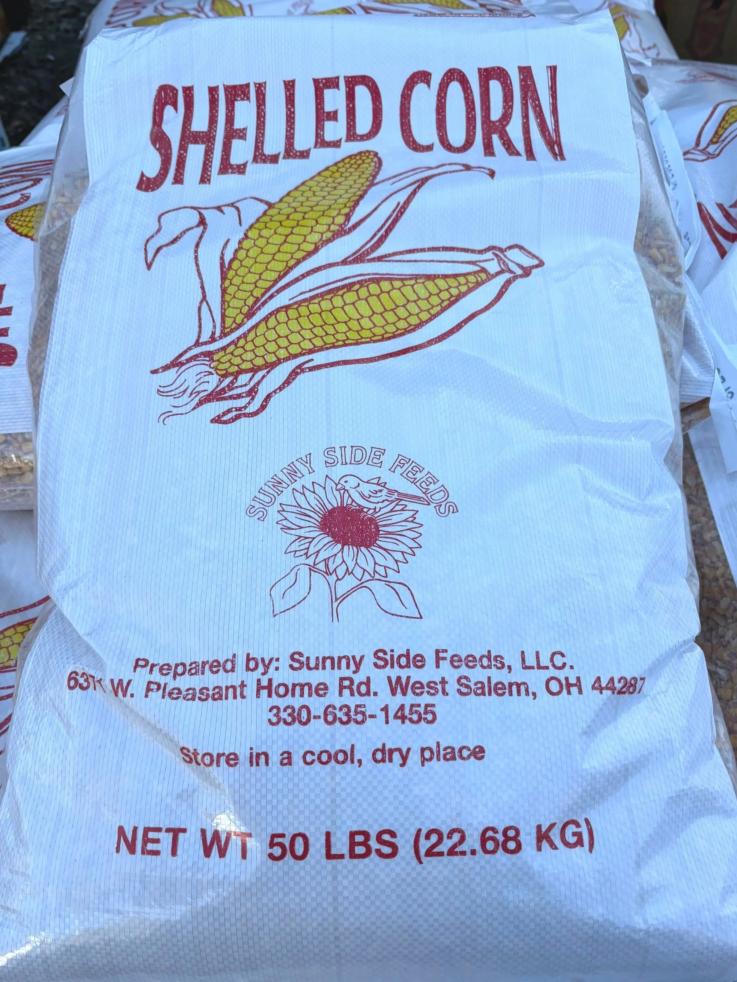 Shelled%2BCorn%2B1.jpg