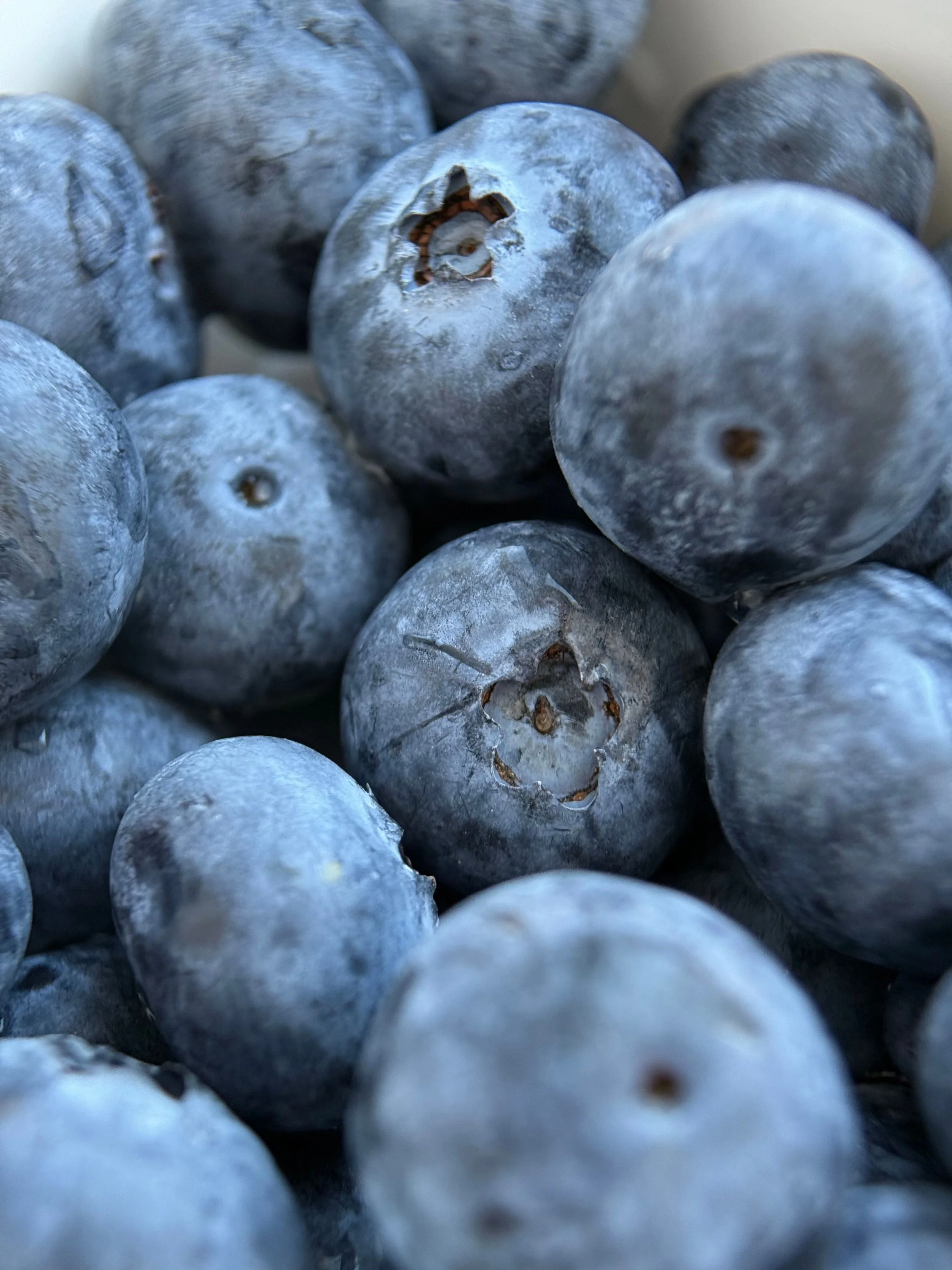 blueberries.jpg