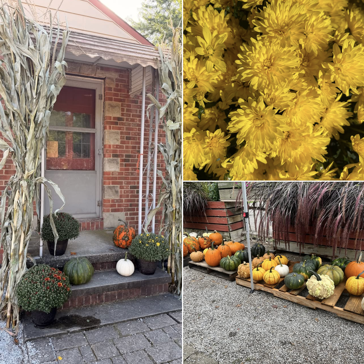 Fall Porch Bundle.png