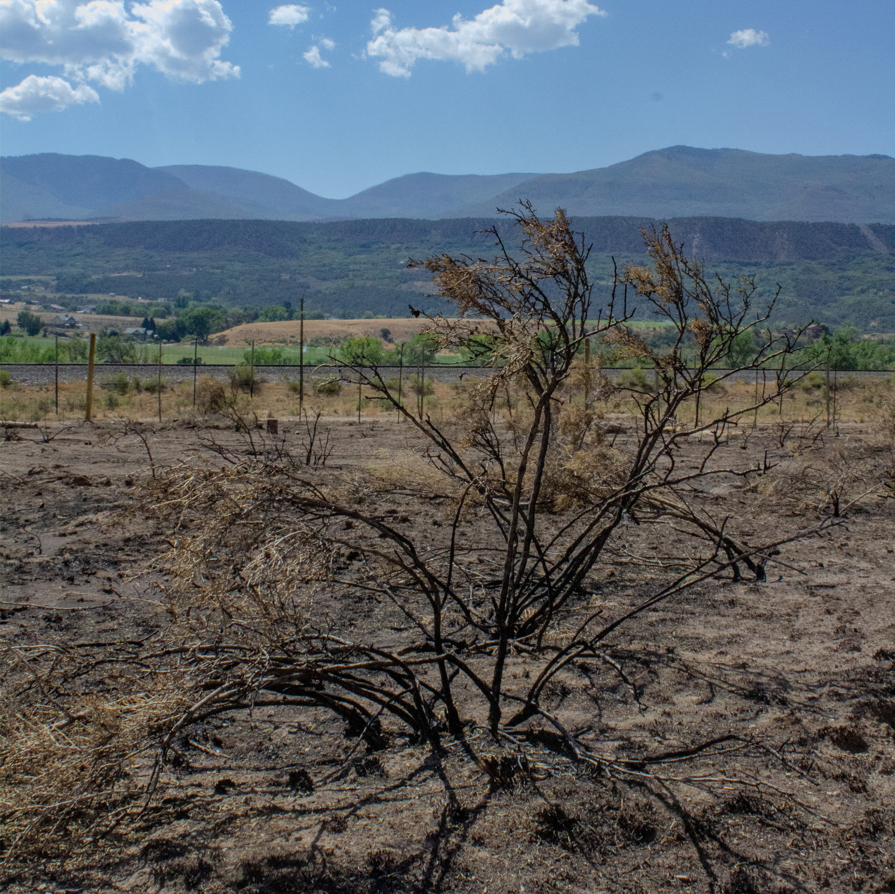 CICA Provides Financial Aid for Producers Affected by Wildfire