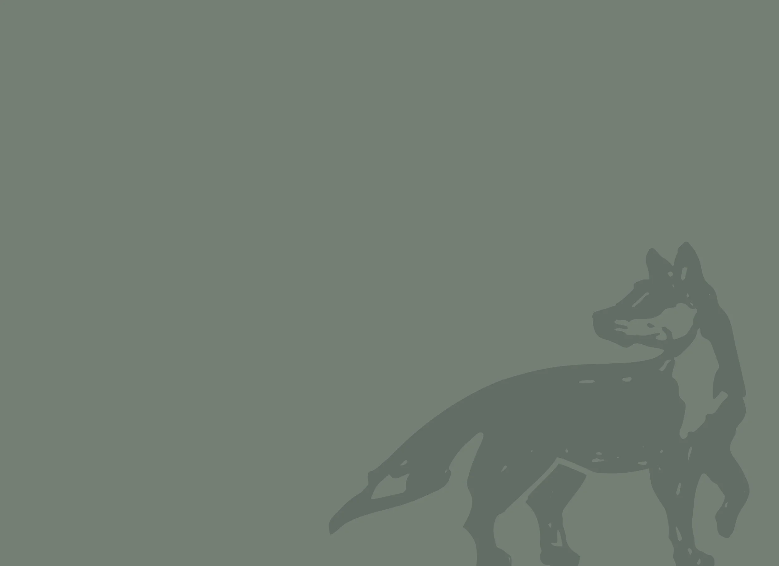 Sherwood backgrounds with fox2.jpg