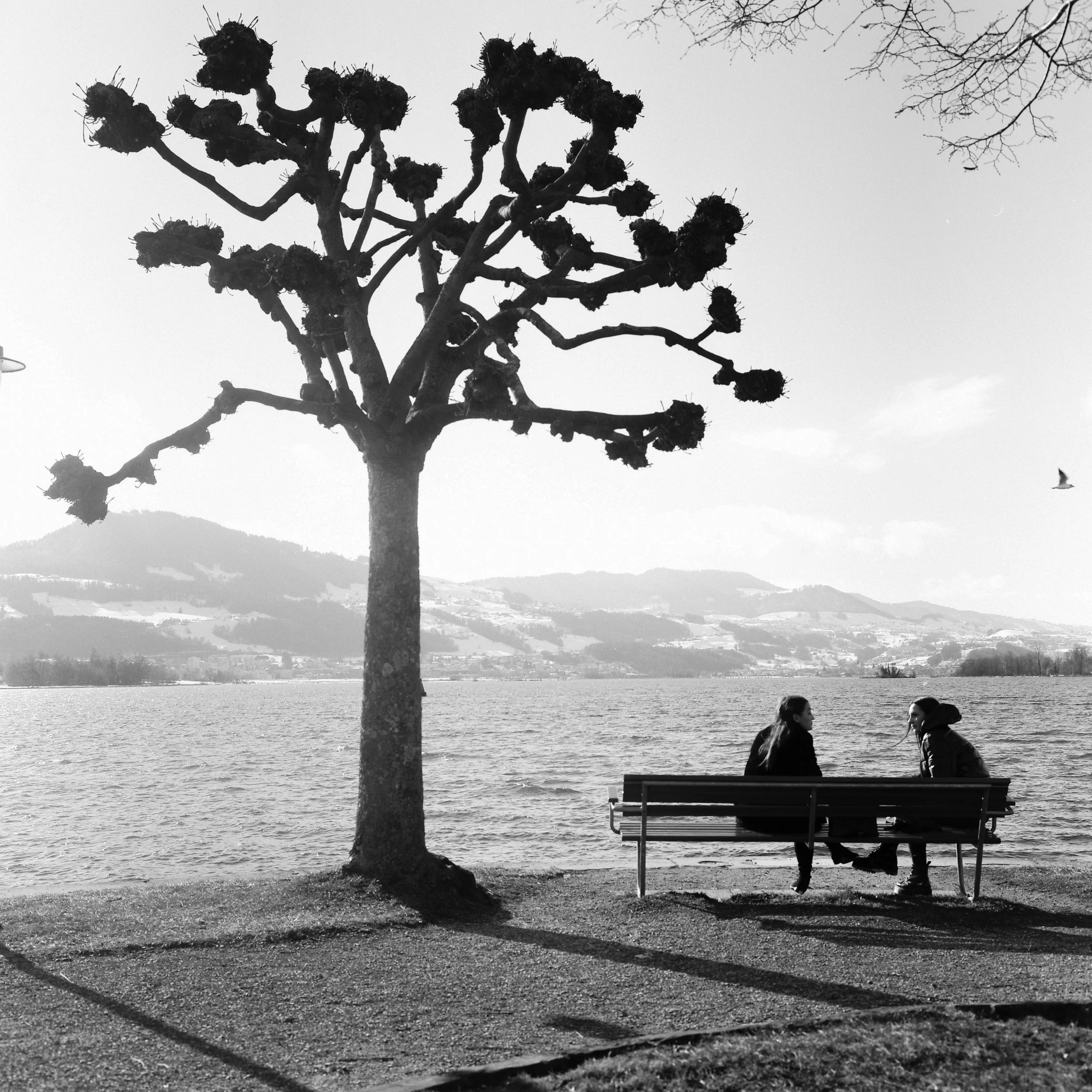 IN BETWEEN
Rapperswil
