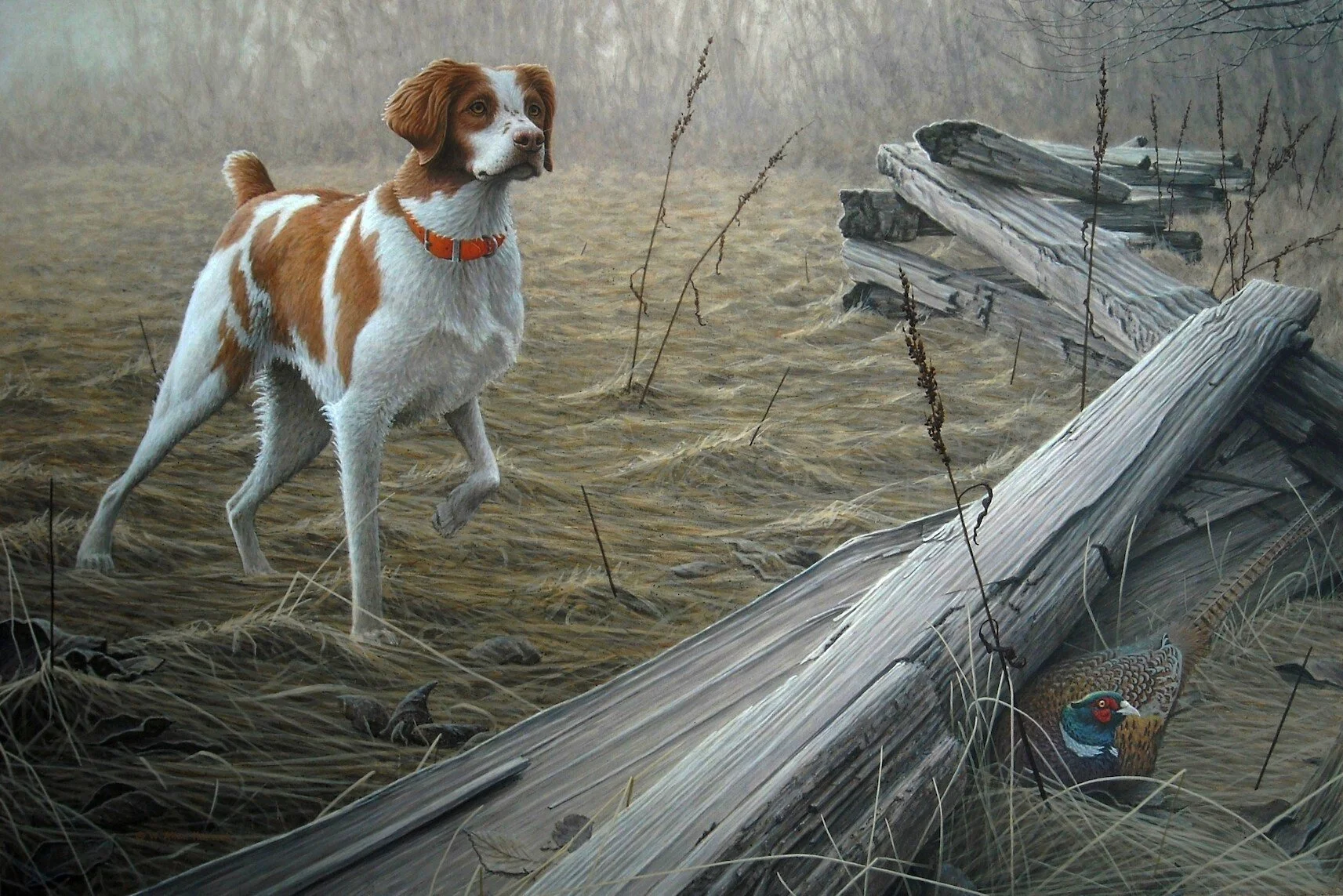 The Pointing Dog Journal, March/April 2013