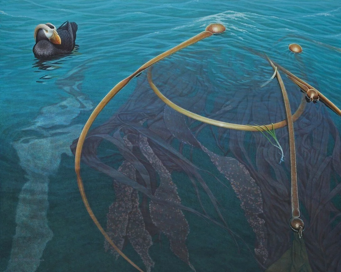 Art For An Oil-free Coast Touring Exhibition