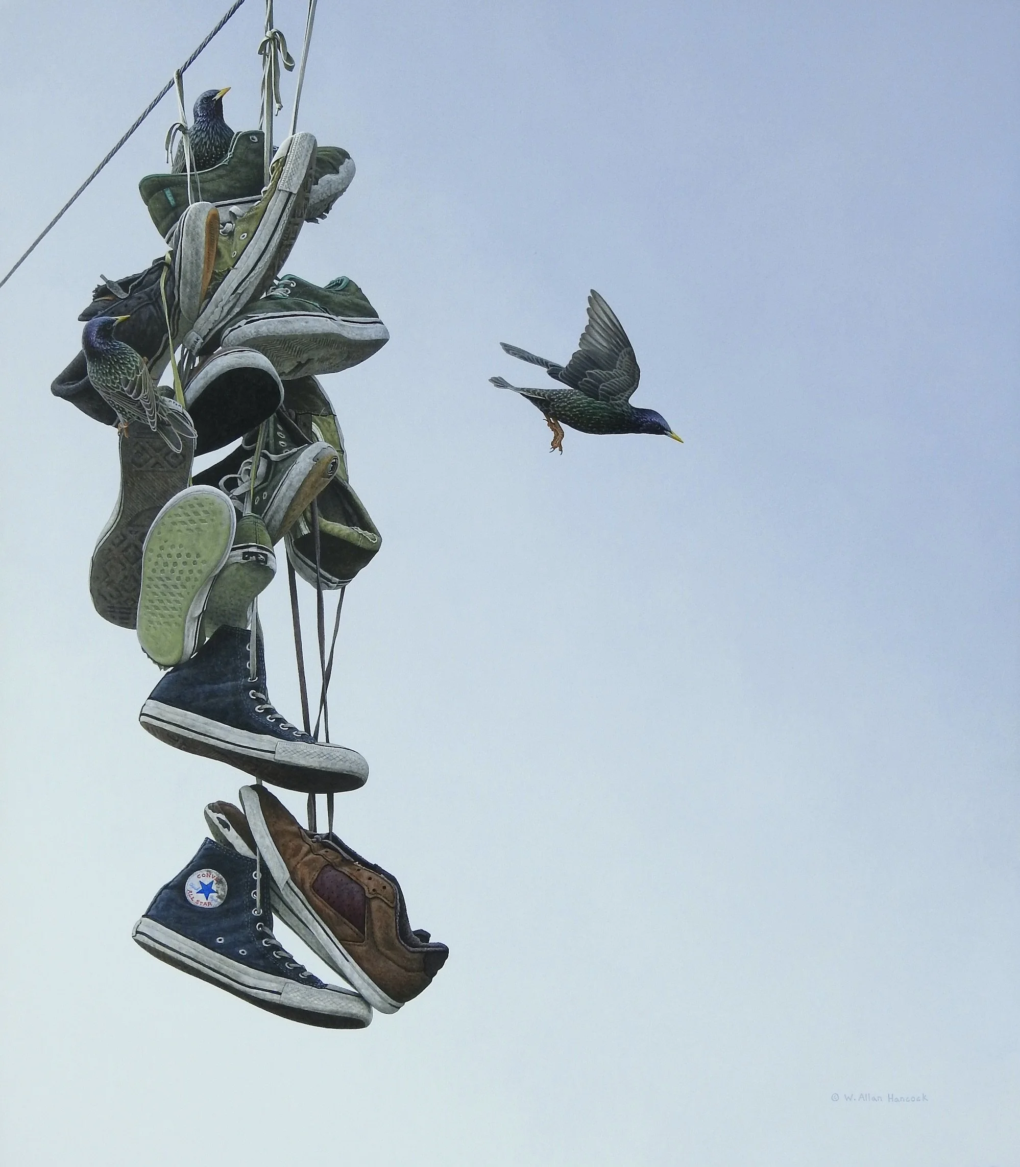 WIRED - EUROPEAN STARLINGS