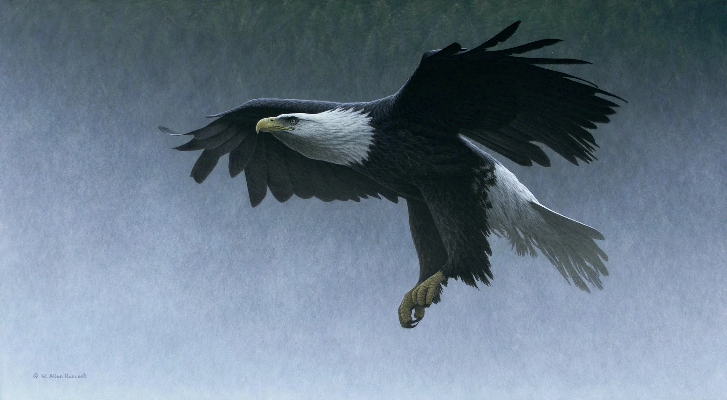ROYAL DESCENT - BALD EAGLE