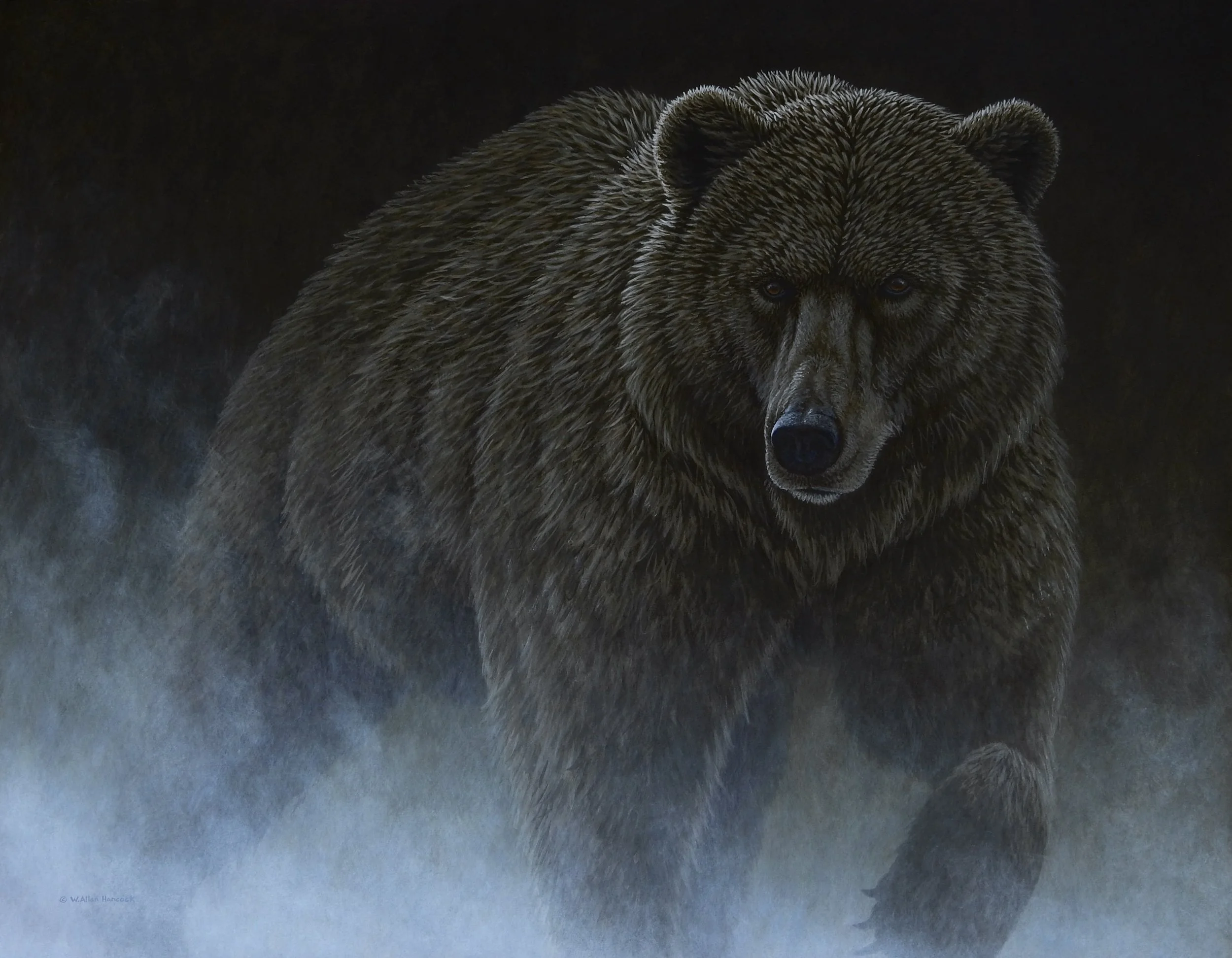 OUT OF NOWHERE - GRIZZLY BEAR