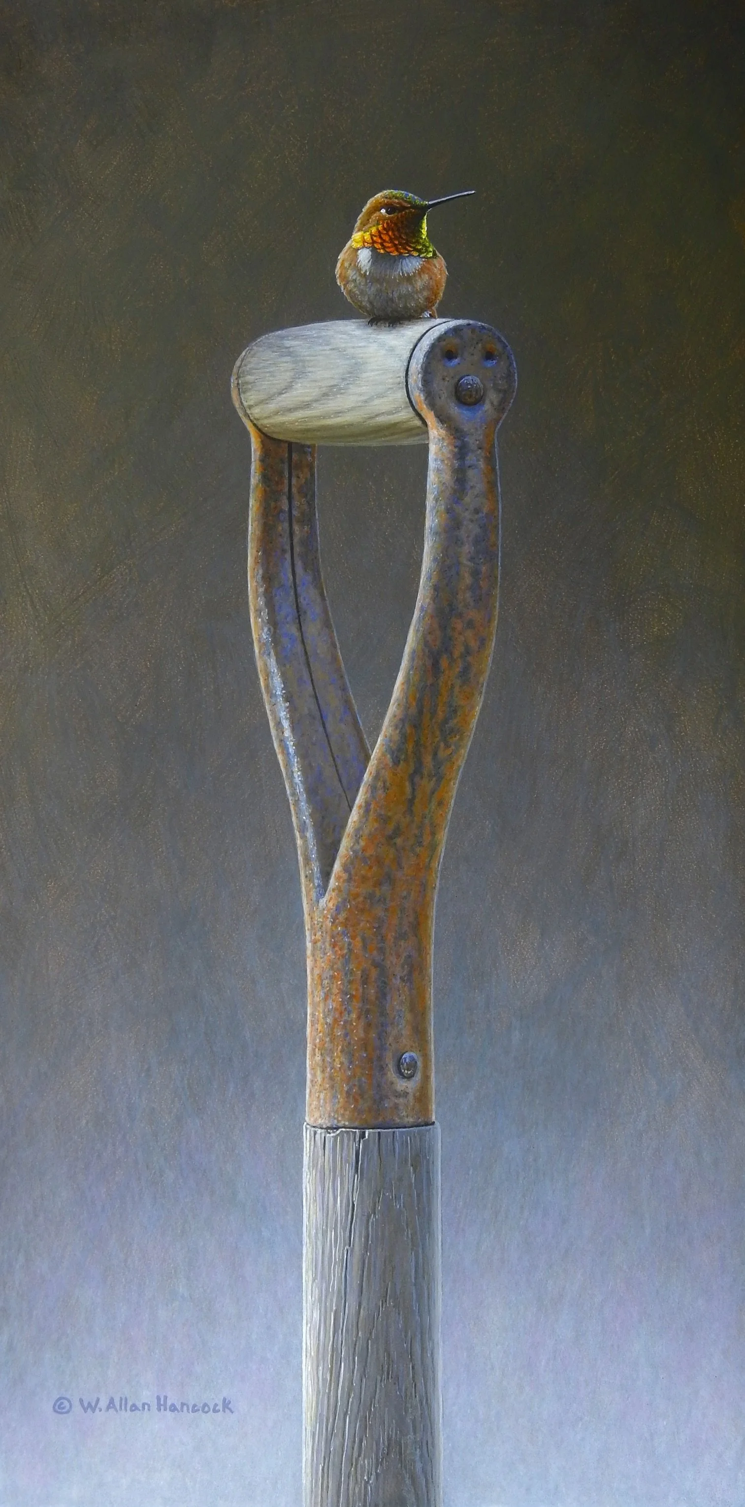 THE GARDENER'S HAND - RUFOUS HUMMINGBIRD