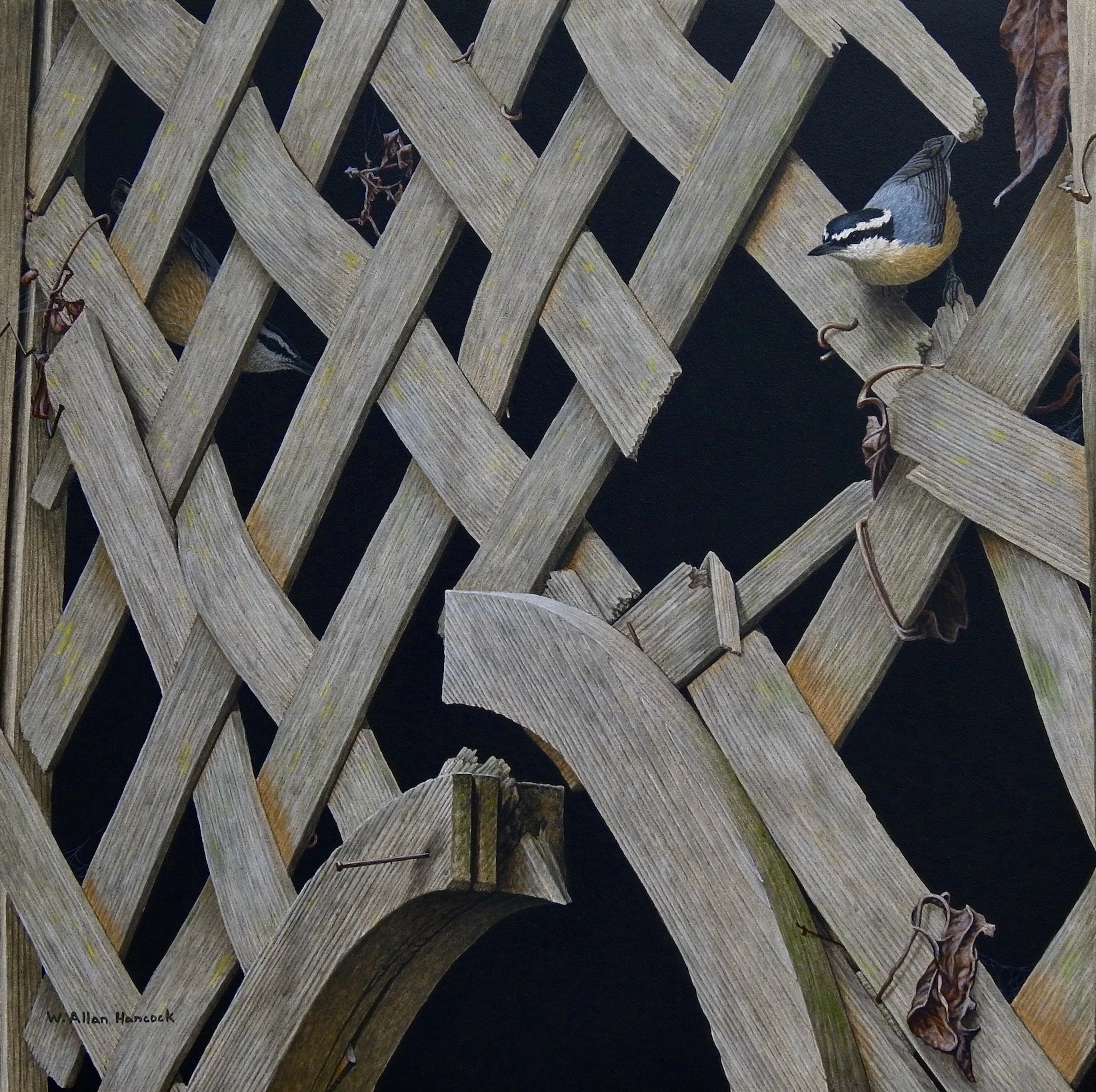 BOARD GAMES - RED-BREASTED NUTHATCH