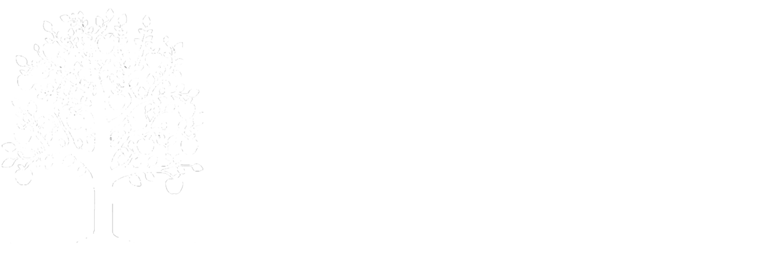 Abundance Wealth Advisors