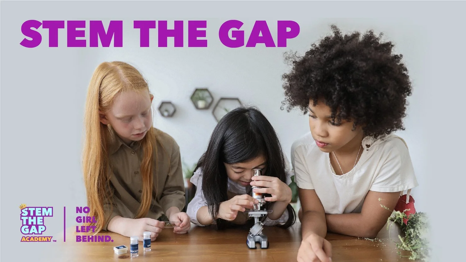 STEM THE GAP
