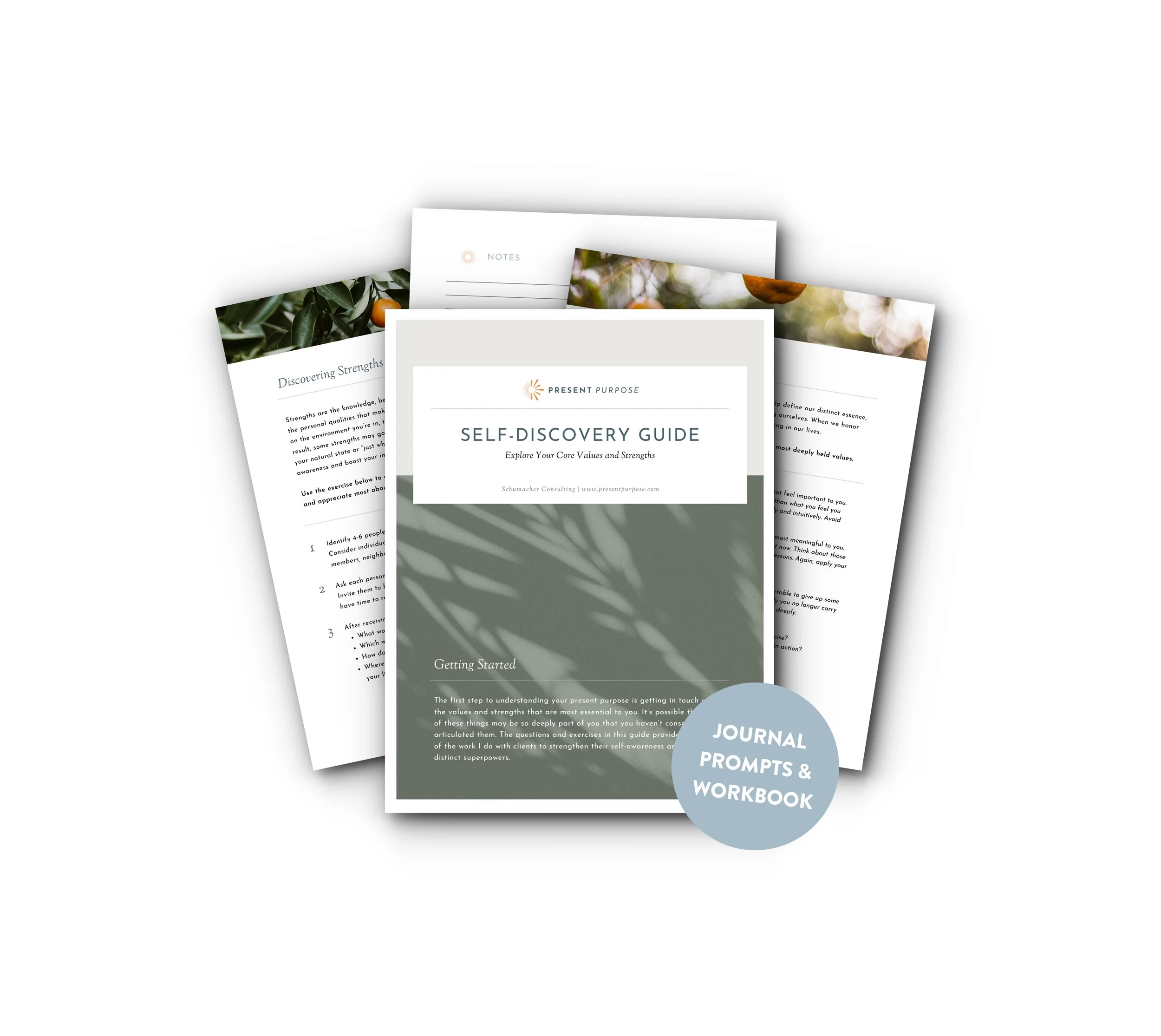 Val opt in image.jpg