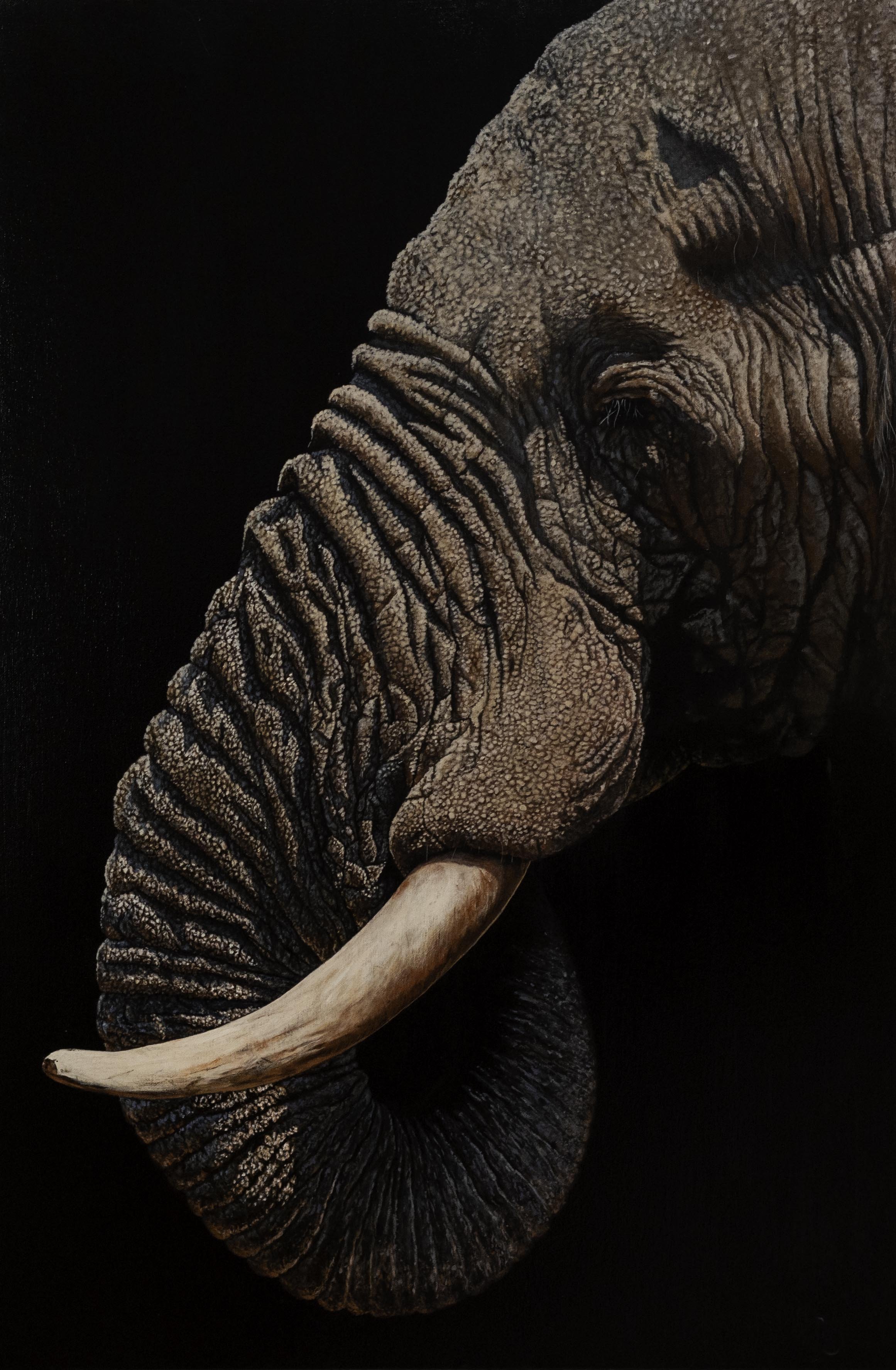 elephant.jpg