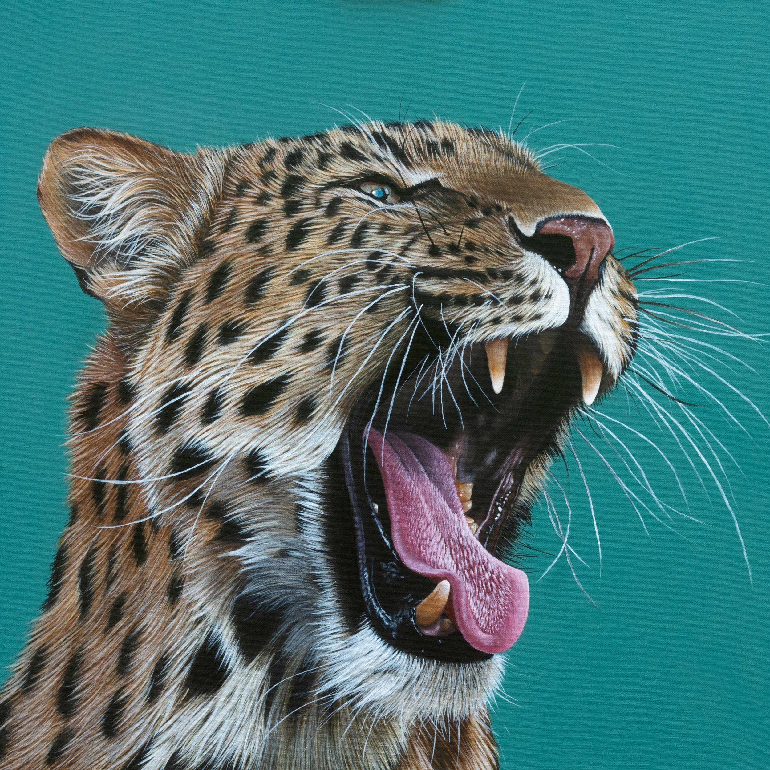 leopard-for-web.jpg