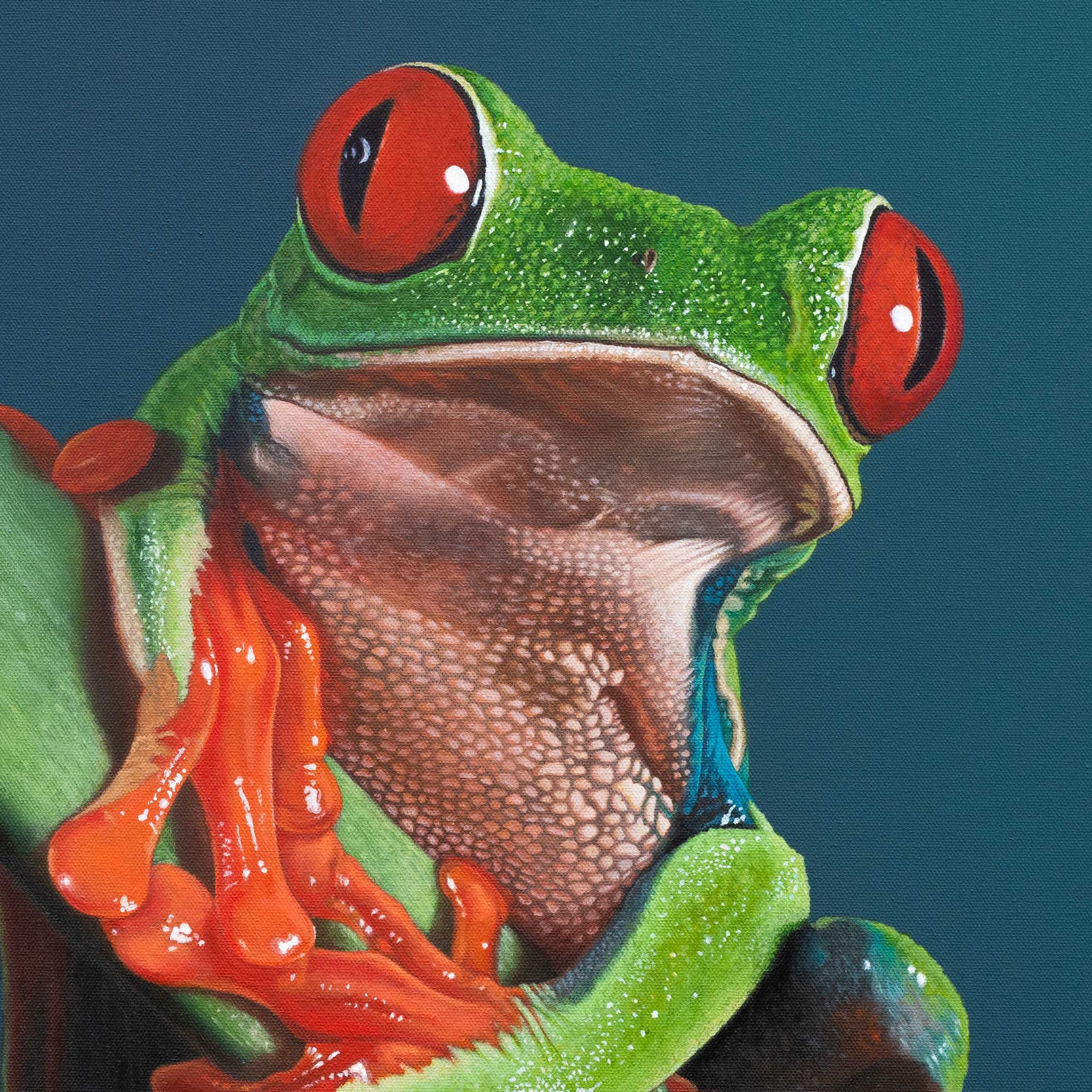frog-close-up.jpg