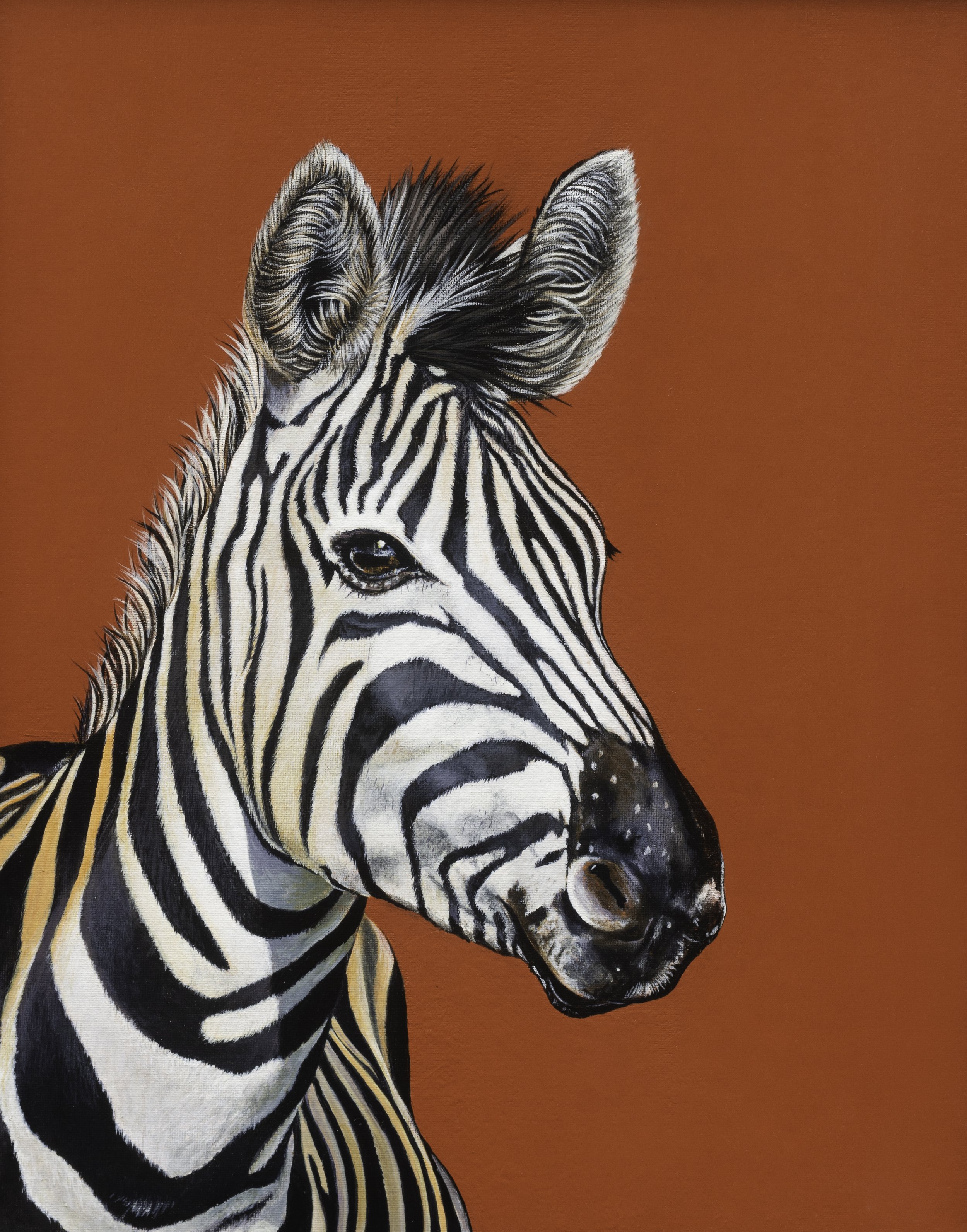zebra on orange.jpg