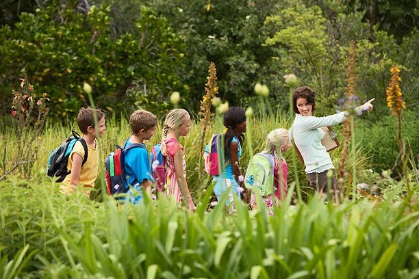 The Personalized Learning Advantage: Charter School vs Traditional School in SD