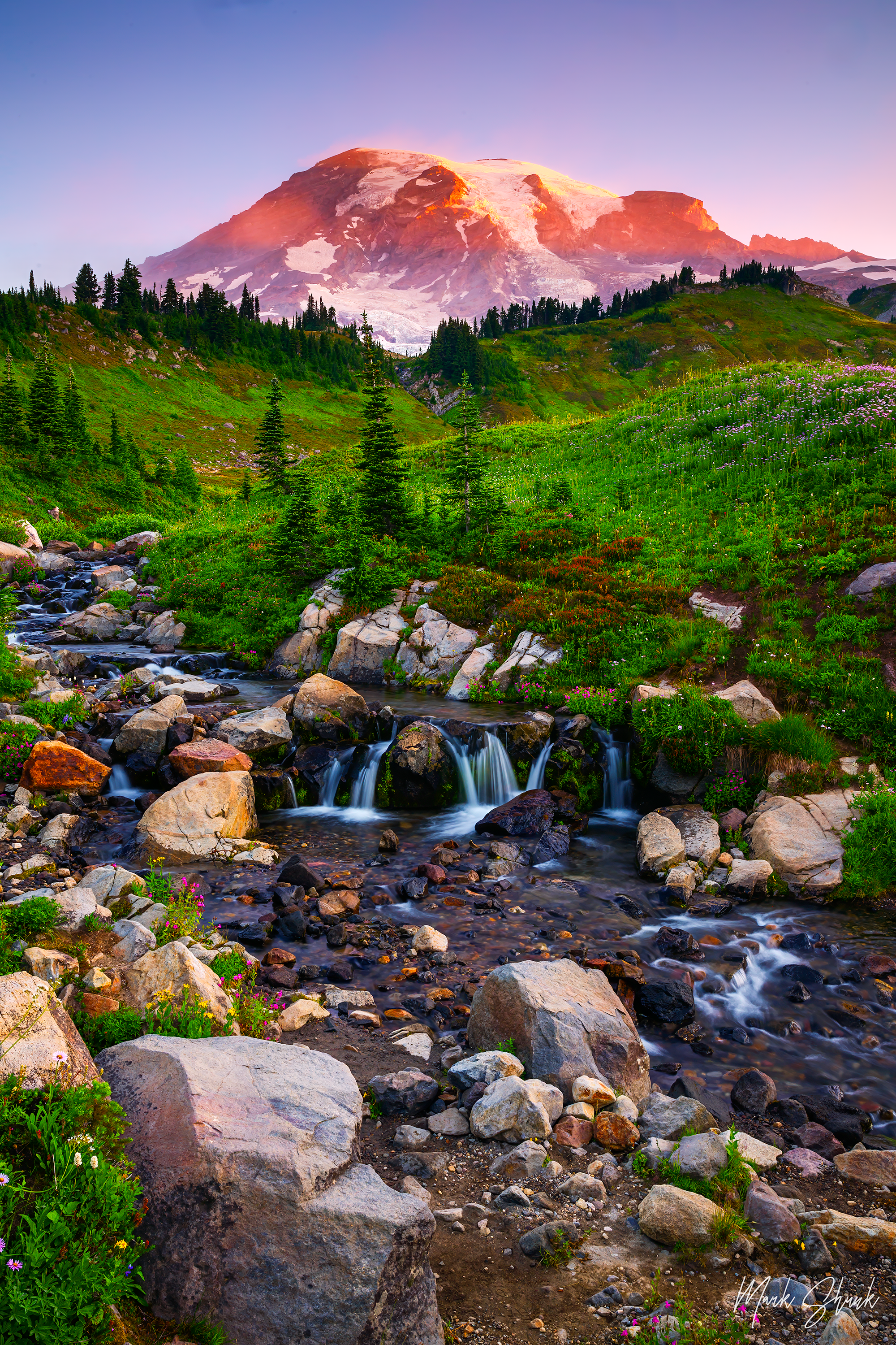 Alpen Glow on the Meadow