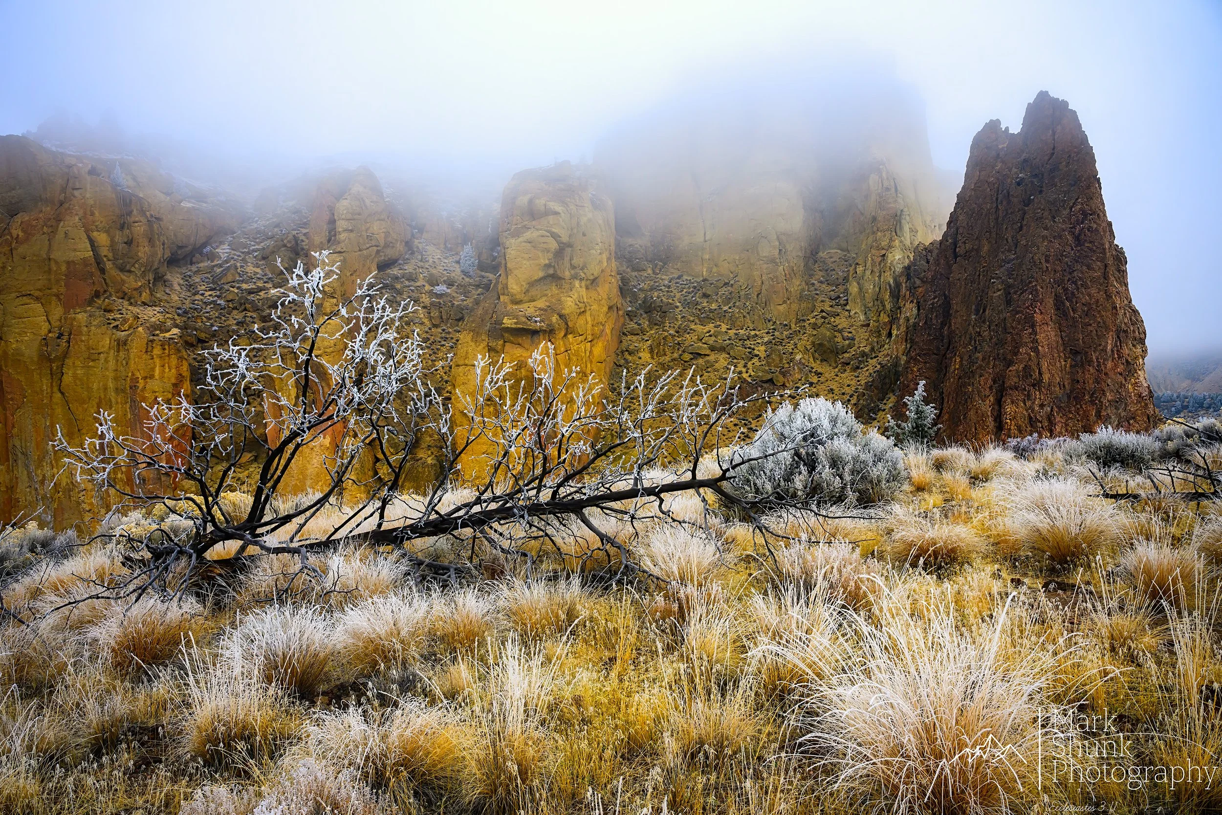 Freezing Foggy Morning