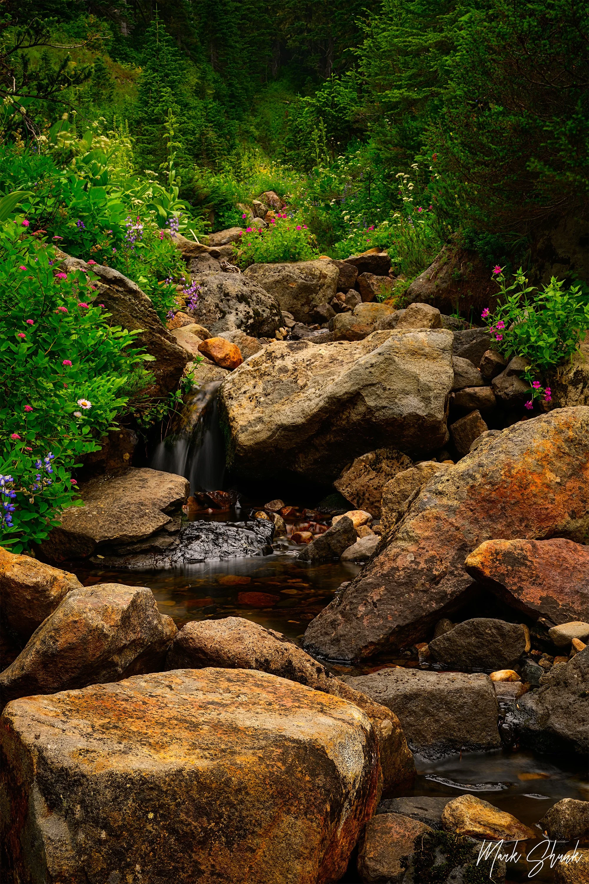 Mountain Garden
