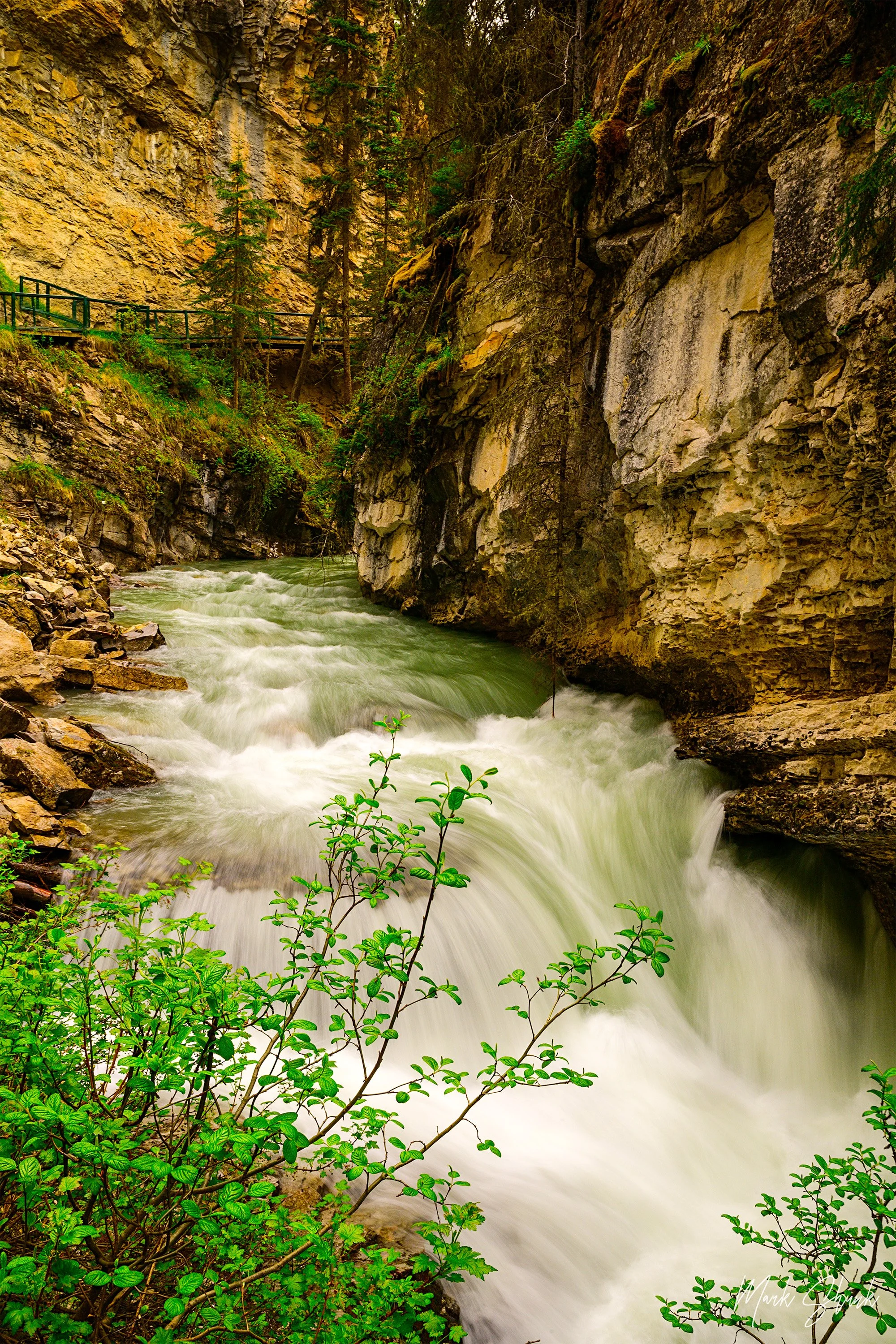 Johnston Canyon II