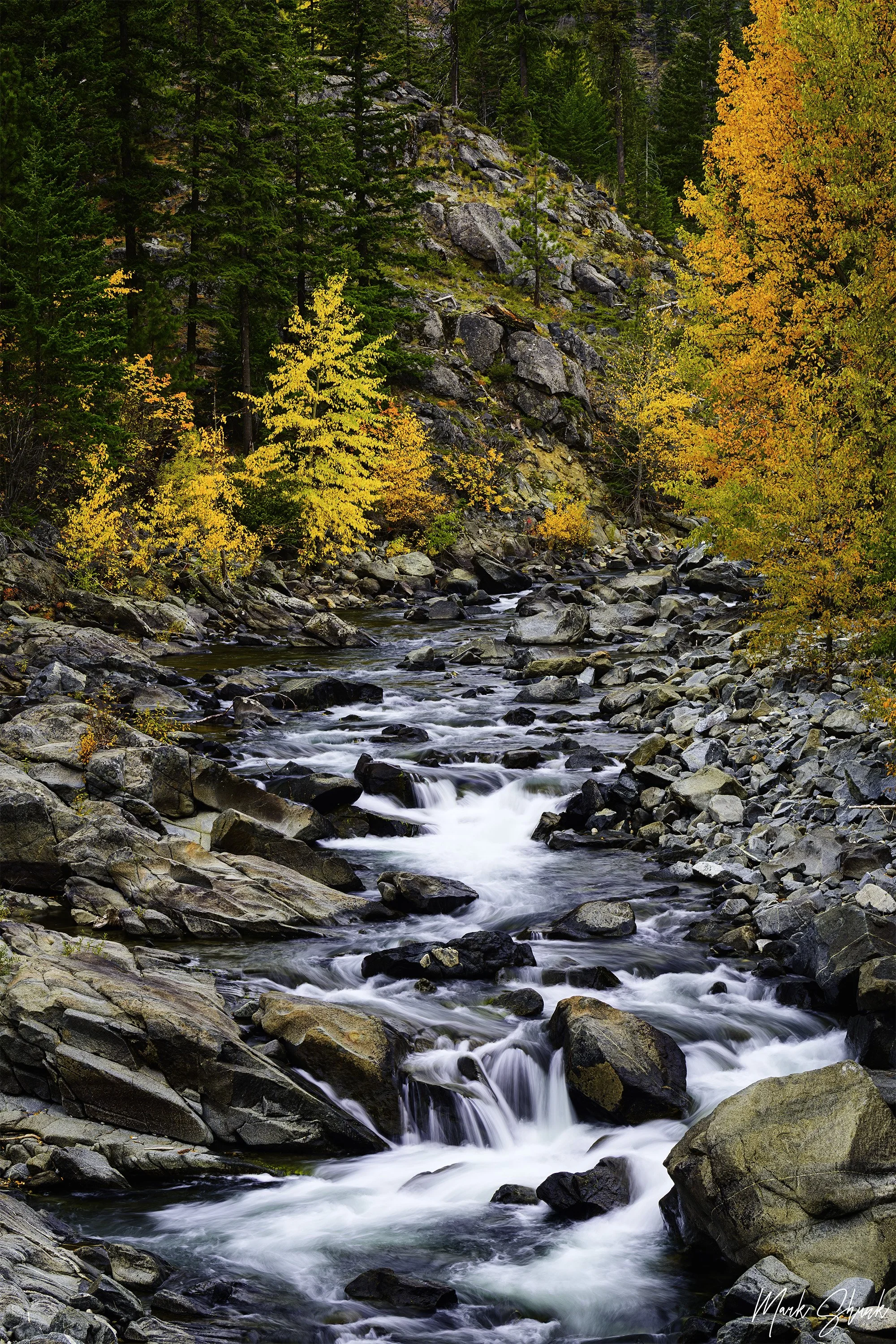Icicle Creek Fall Color