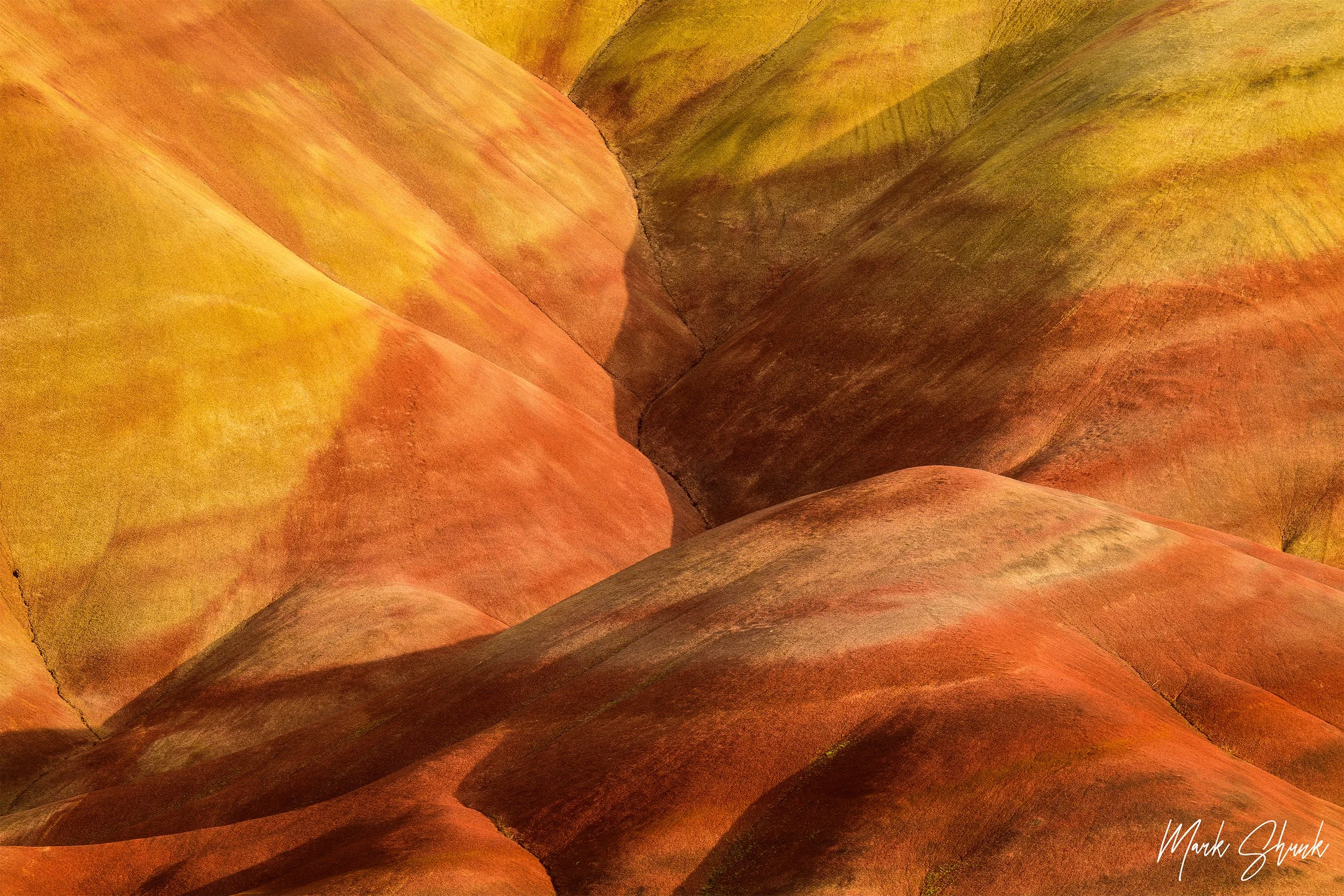 Painted Colors and Forms