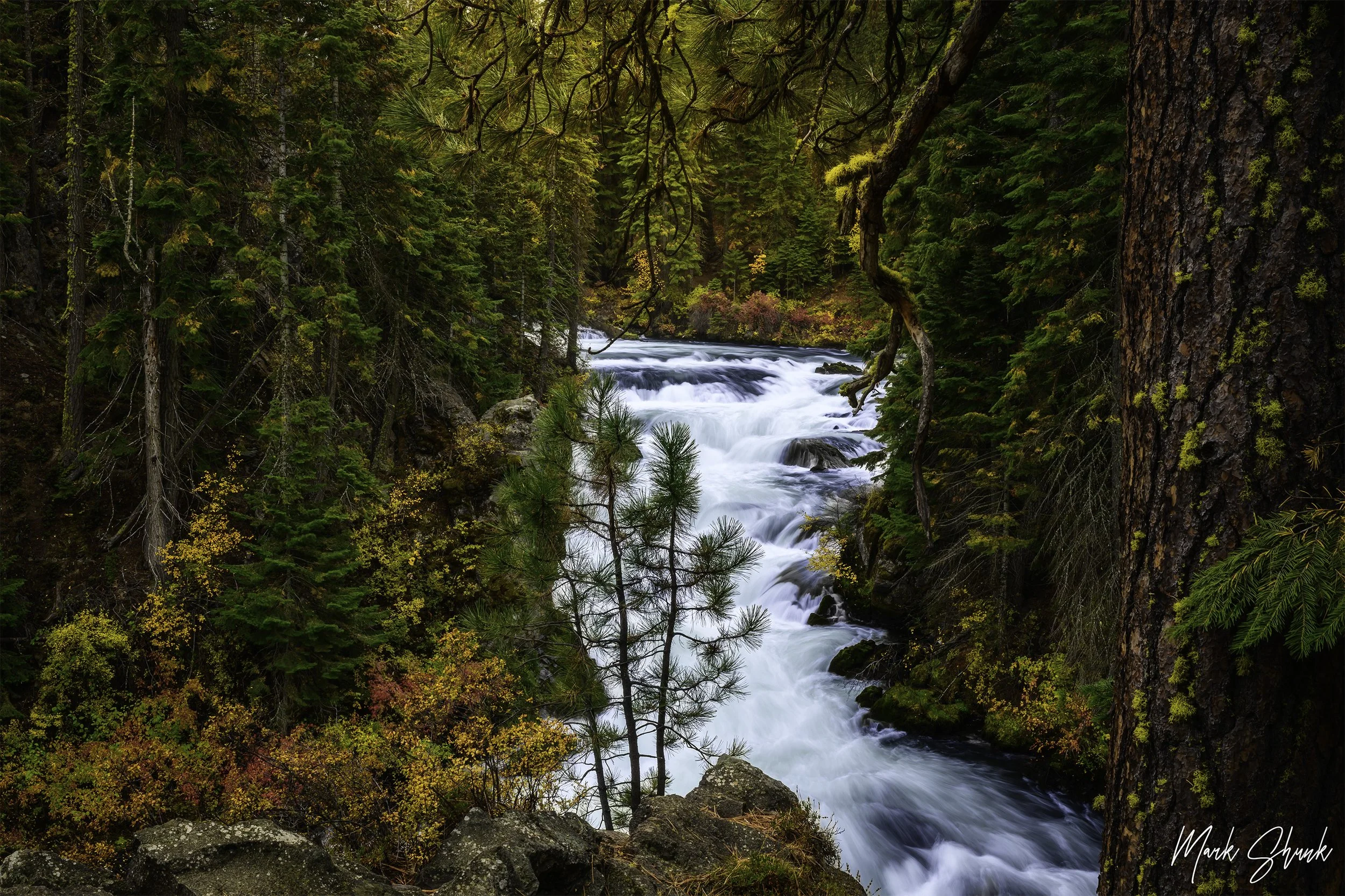 Benham Falls Fall Color