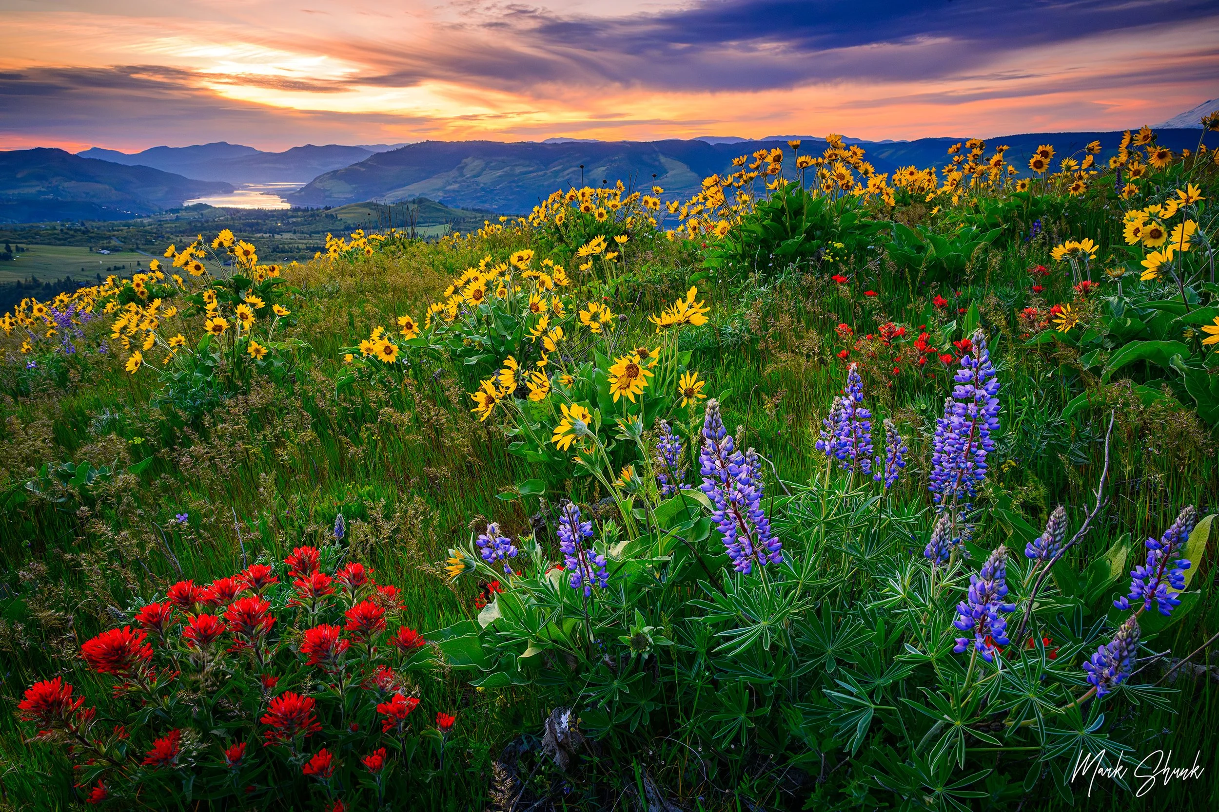 Sunset on Rowena Crest