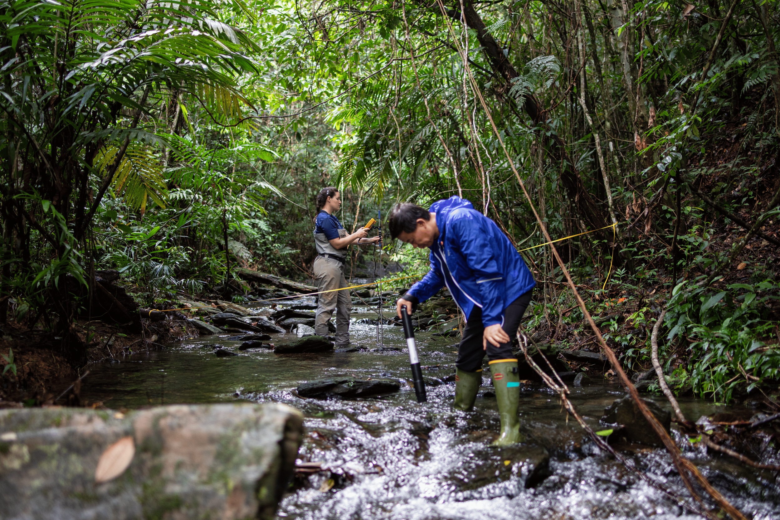 Silkgrassresearchteam-199 (1).png