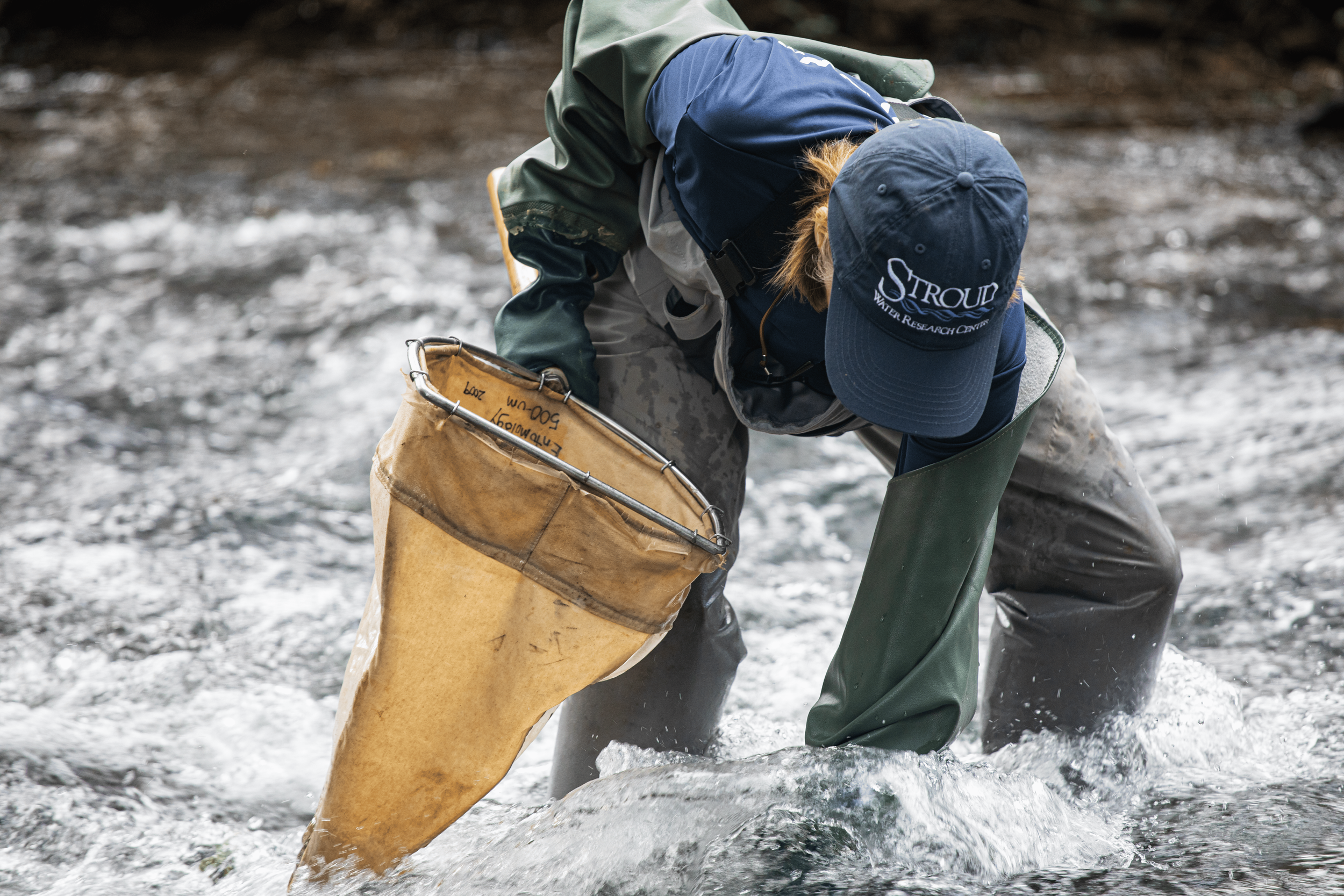 Silkgrassresearchteam-25 (1).png