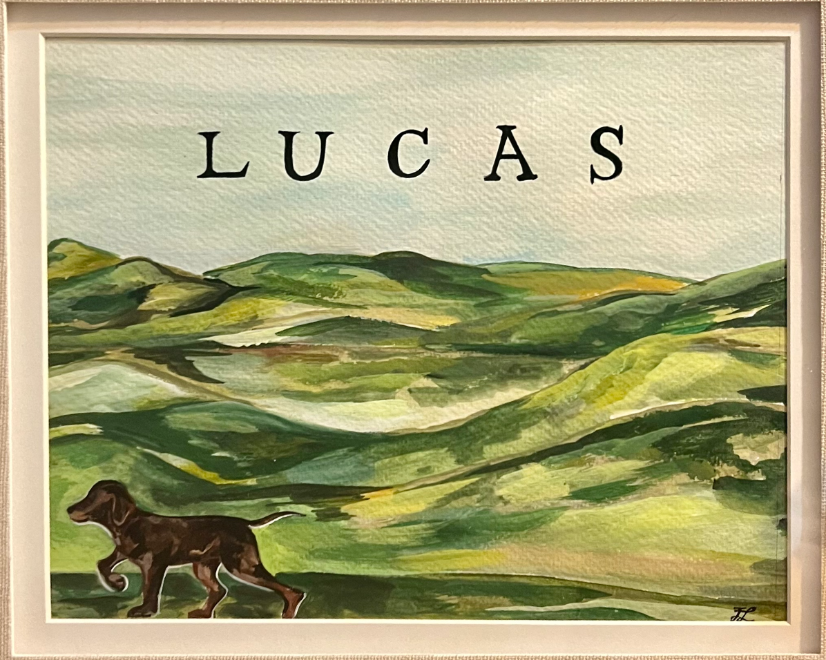 Screen Shot 2025-07-30 at 11.25.51 AM.png