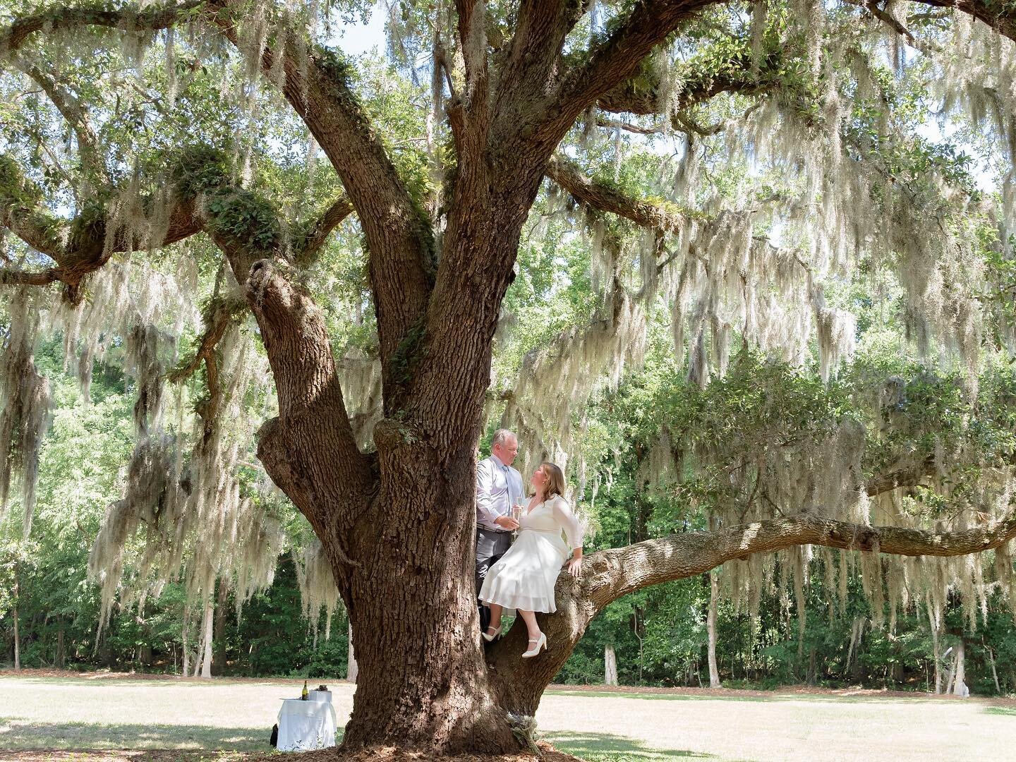 You wouldn&rsquo;t be wrong thinking I want all my couples to climb trees, but Erin and Jarred came up with this idea all on their own! After 20 years married they&rsquo;re still bringing all the adventure! 
.
.
Vow Renewal by: @reynoldstreasures 
Ph