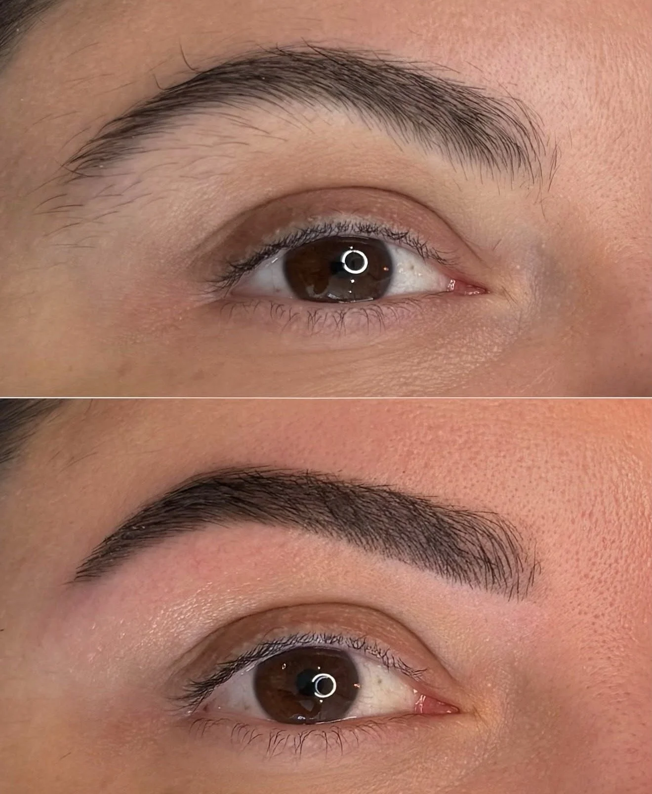 BROW TINT AND OR LASH TINT