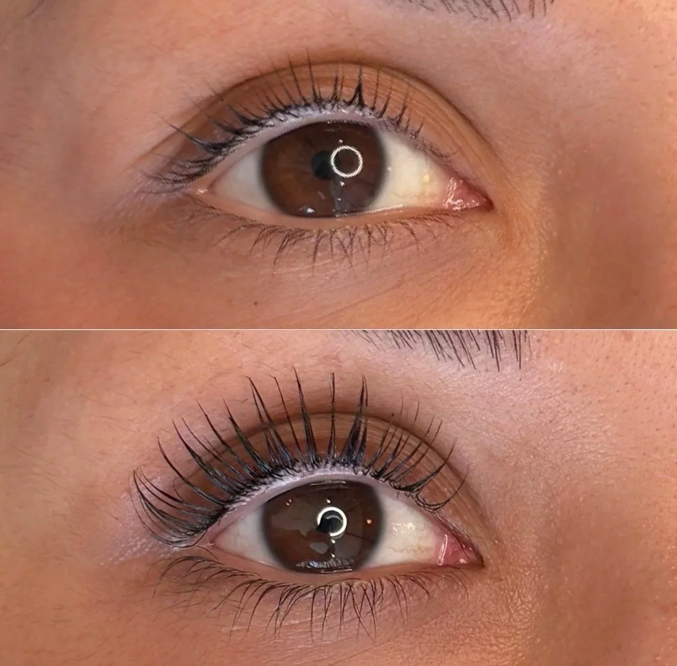 LASH LIFT (+TINT)