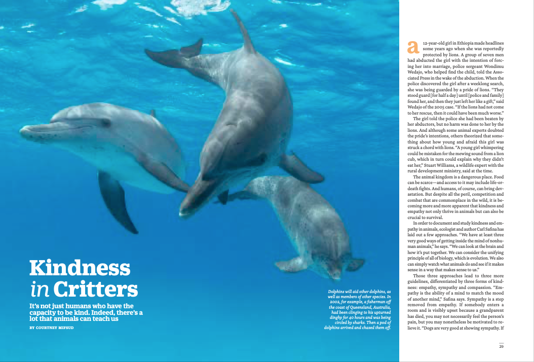 Screen Shot 2021-07-07 at 5.03.42 PM.png