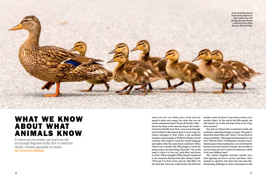 Screen Shot 2021-07-07 at 5.04.09 PM.png