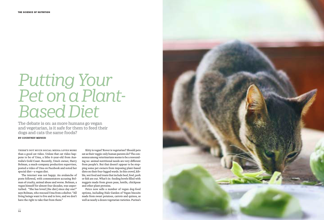 Screen Shot 2021-07-07 at 5.04.30 PM.png