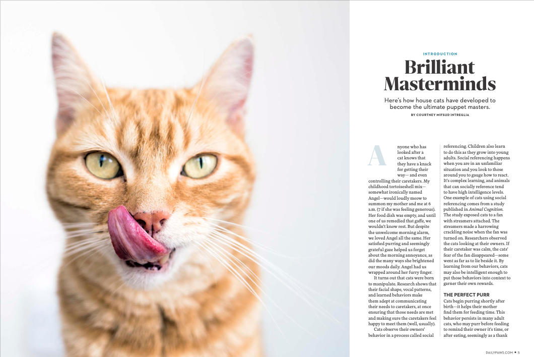 Screen Shot 2022-04-19 at 1.08.20 PM.png